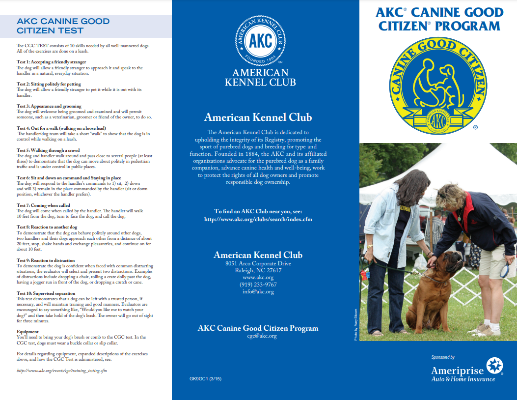 AKC Canine Good Citizen (CGC) — Paw in Hand Training