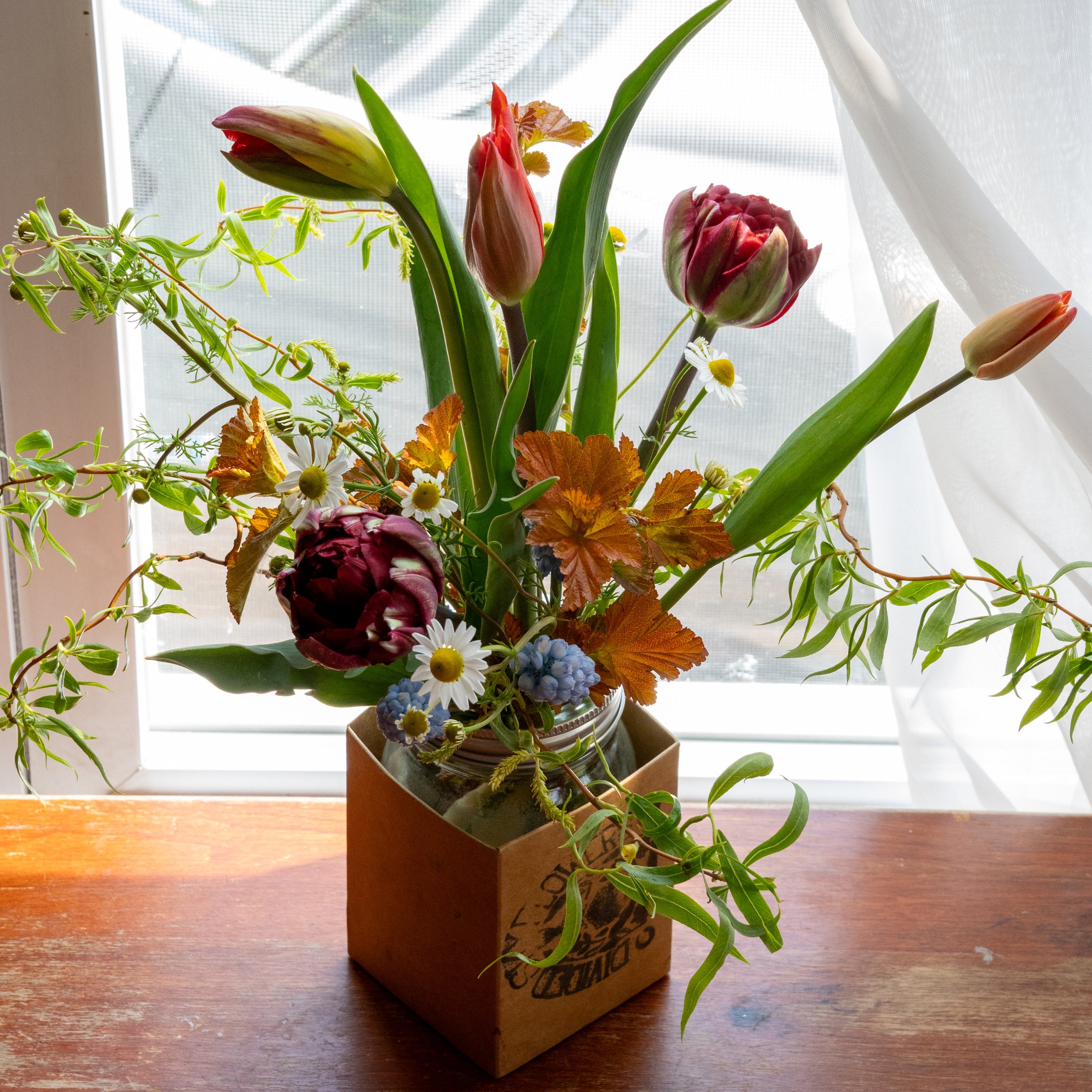Spring 2024 Week One-3.jpg