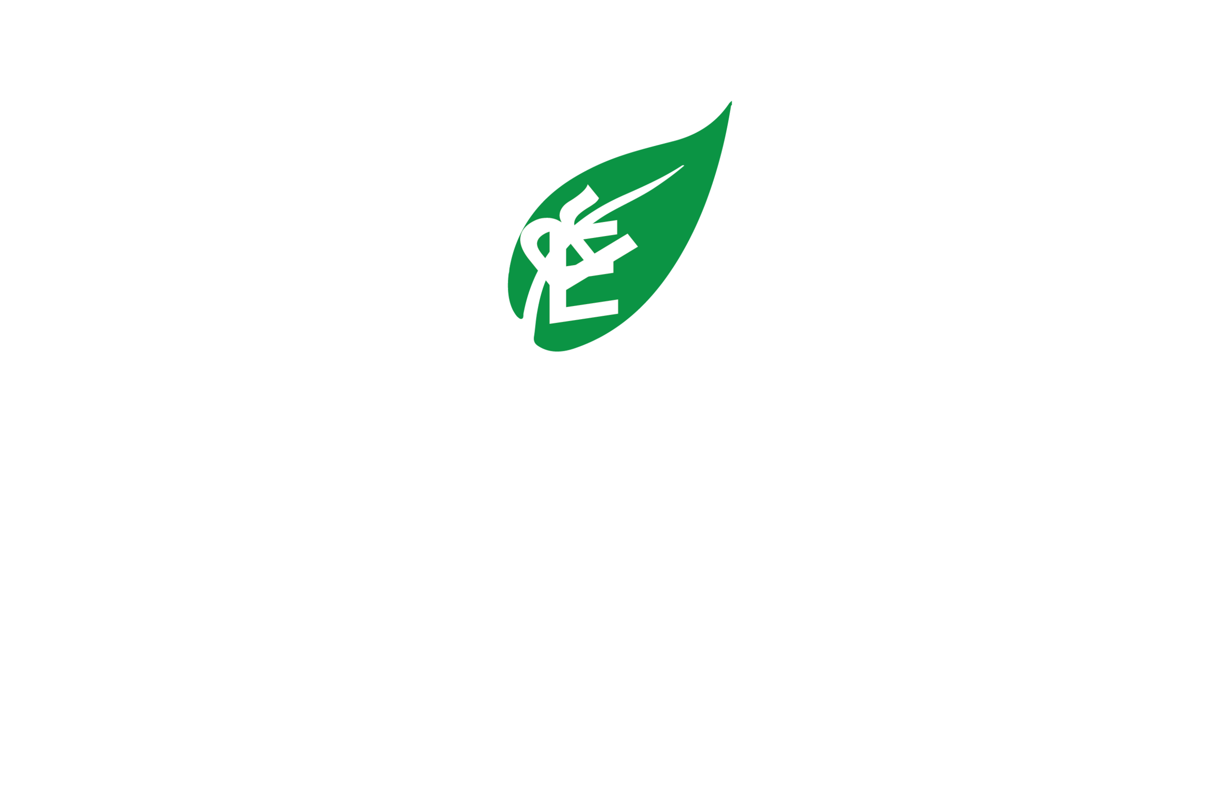 your_greener_stay.png