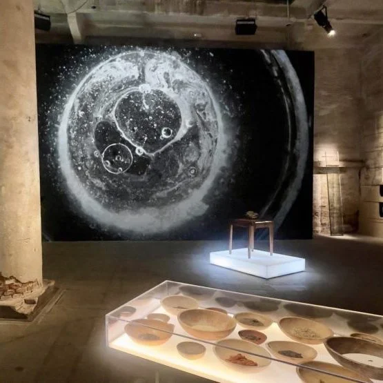 Editing for Dawn DeDeaux @ the 61st Venice Biennale