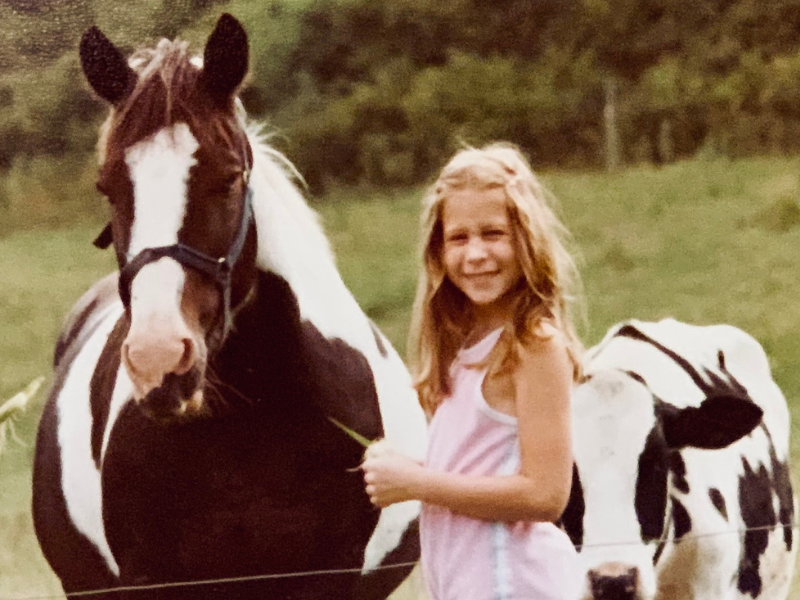 Saddle Up | The Horse has Arrived