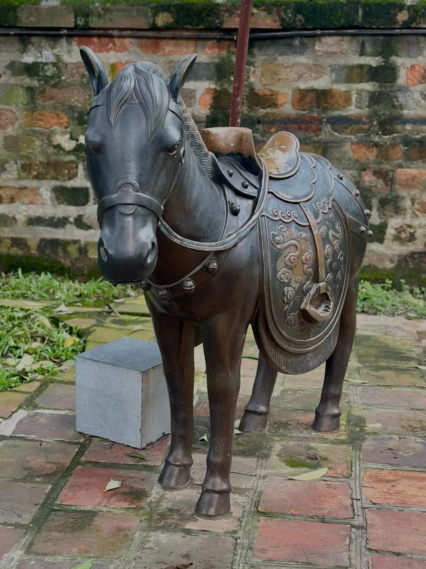 Lunar New Year at Admari 

Today we welcome the Year of the Horse with an expanded all-day CommuniTea Table from 11 AM to 8 PM.

Guests
$20 &bull; Includes up to 2 hours of tea (additional time $10/hr)

A full day of rotating specialty teas, tea snac