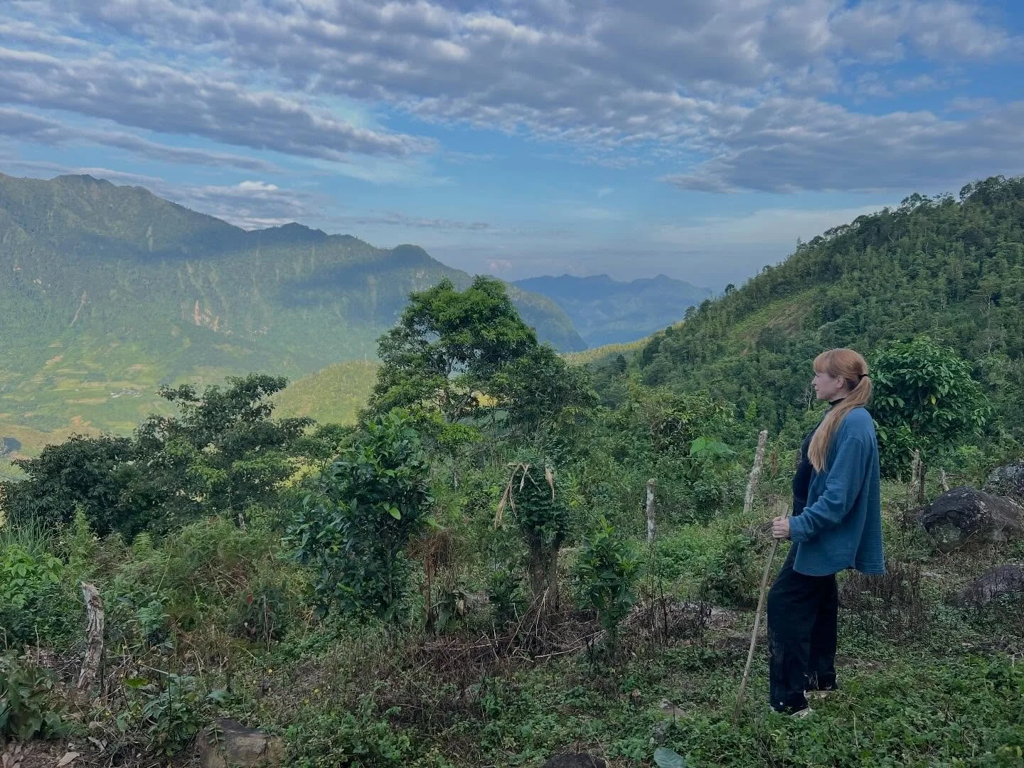 I&rsquo;ve spent almost a lifetime drinking tea, and almost 20 years studying, sharing, sourcing, teaching, and trying to understand it.

And the more I learn, the more apparent it becomes that the world of tea is deep, complex, and endlessly humblin