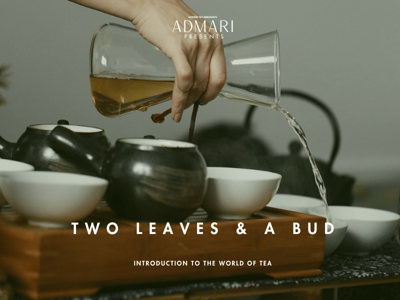 TEA EXPERIENCE | Two Leaves &amp; a Bud 