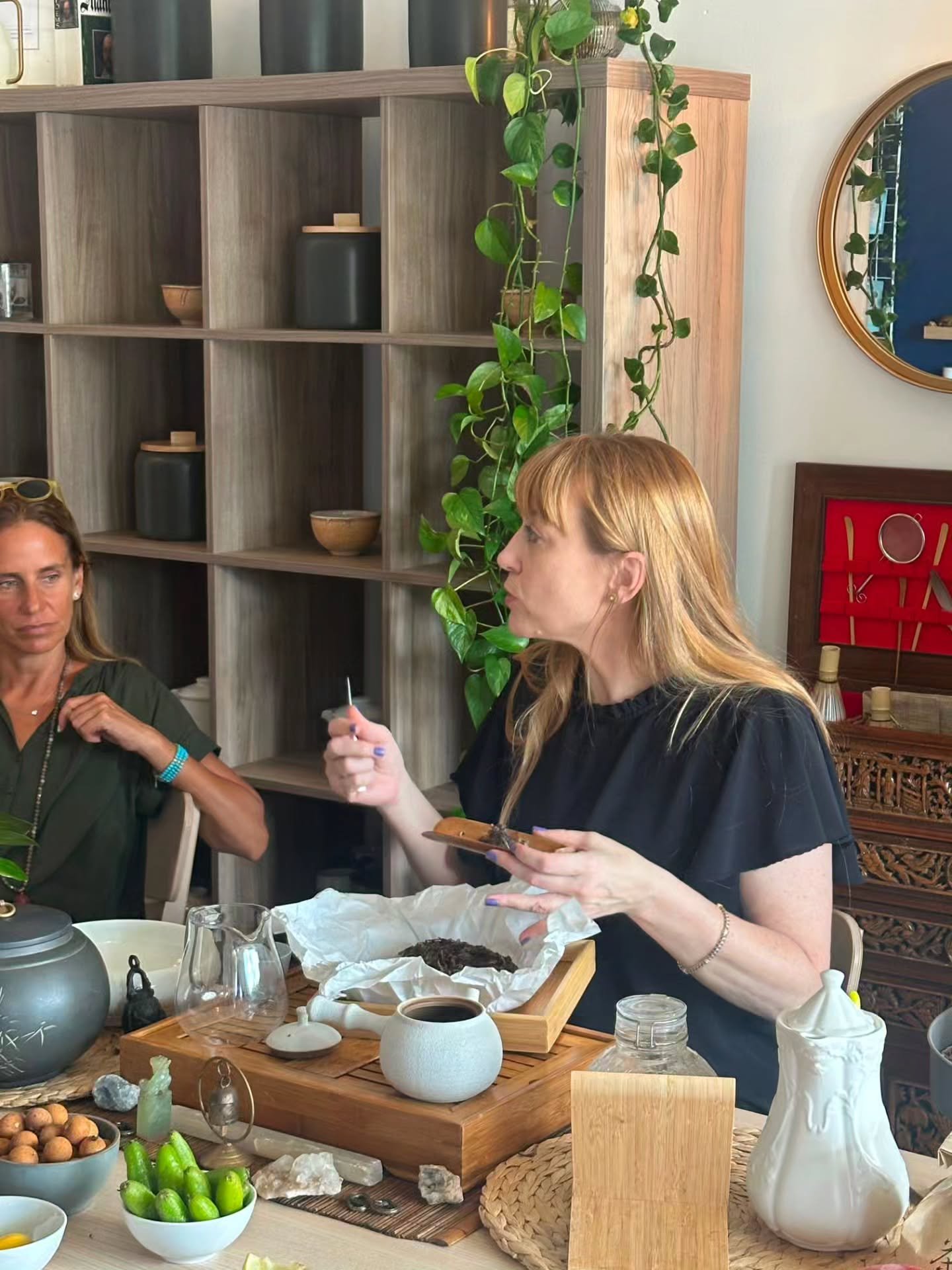 You don't need to know a thing about tea to love it. You just need somewhere to begin.

Here's a fact that intrigues almost everyone: white, green, oolong, black and dark aren't five different plants. They're all the same one: Camellia sinensis. Ever