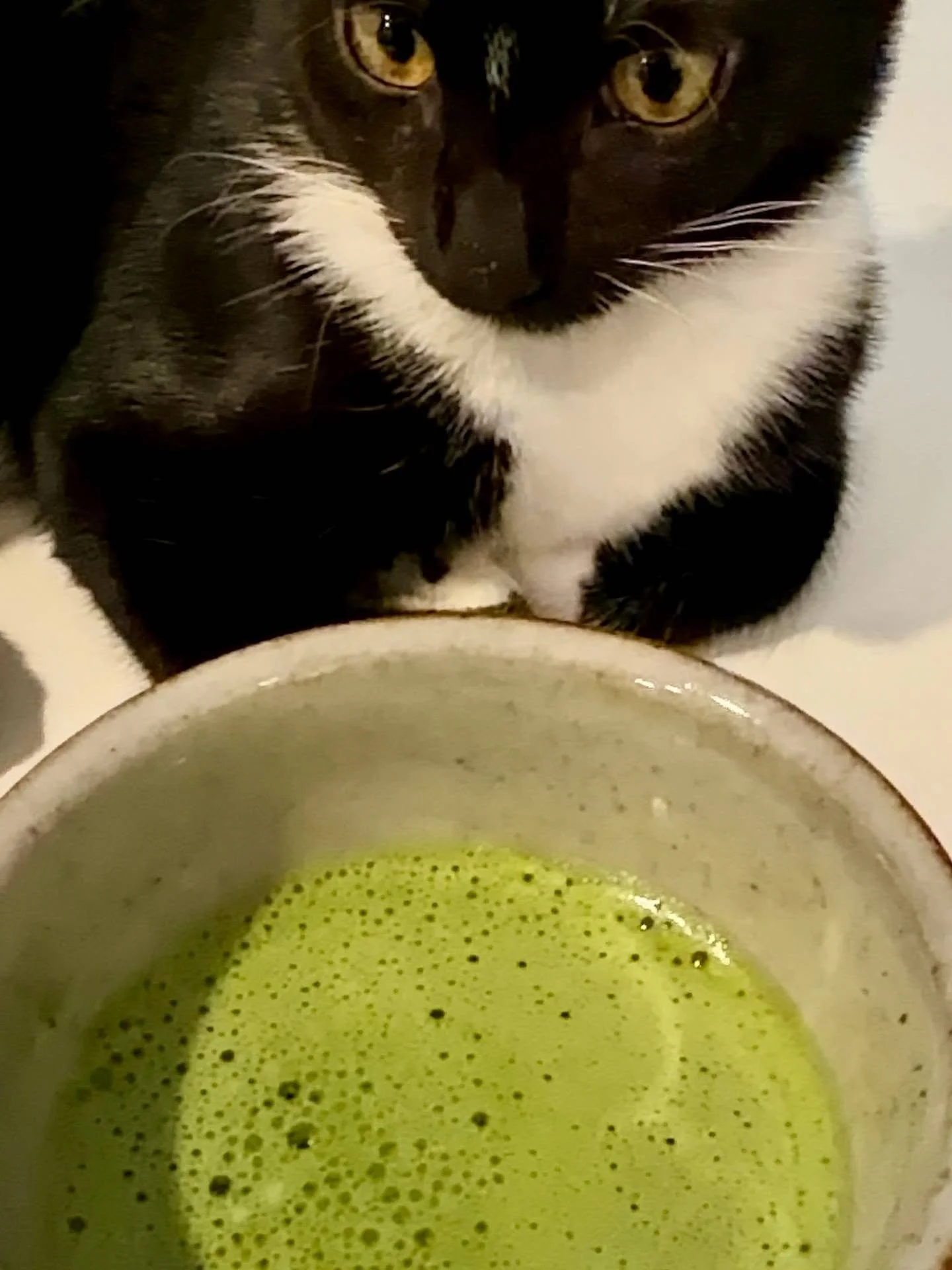 Welcome to #TeaoftheWeek 🍵

The studio is quiet now. But we are already thinking about tomorrow morning.

This week we are spending time with matcha, and morning is the perfect time to serve it. That first bowl, whisked before the day asks anything 