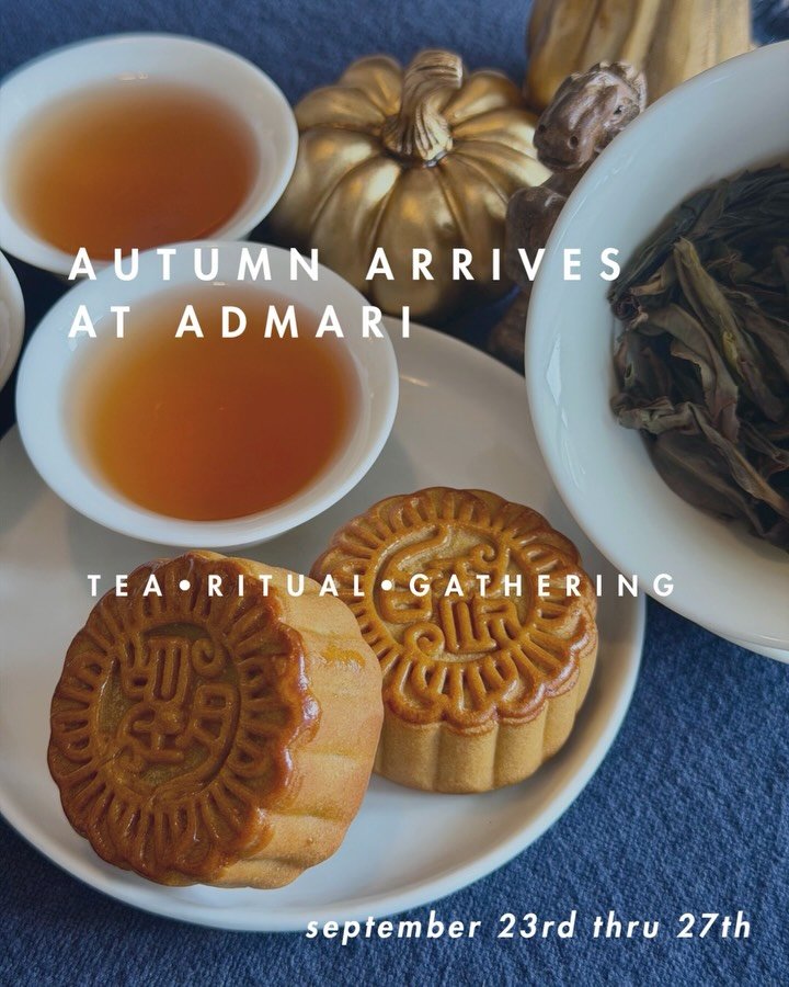 This coming week, we welcome autumn.

It is my favorite season, this season of harvest and gratitude. It&rsquo;s also libra season 😉, a shift in light and dark, our returns to ritual, and the feeling that something is changing, asking us to pay atte