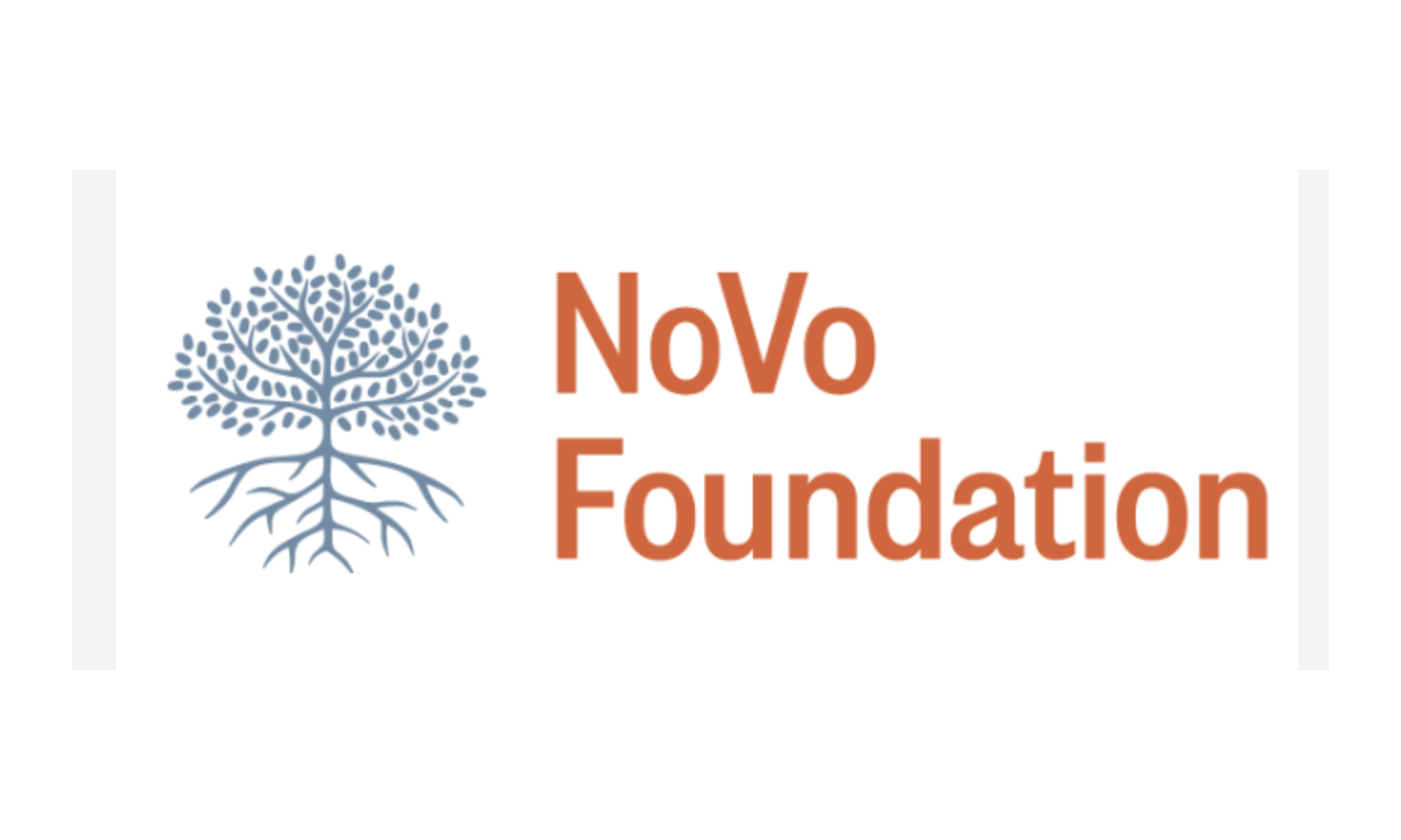 Novo Foundation.png