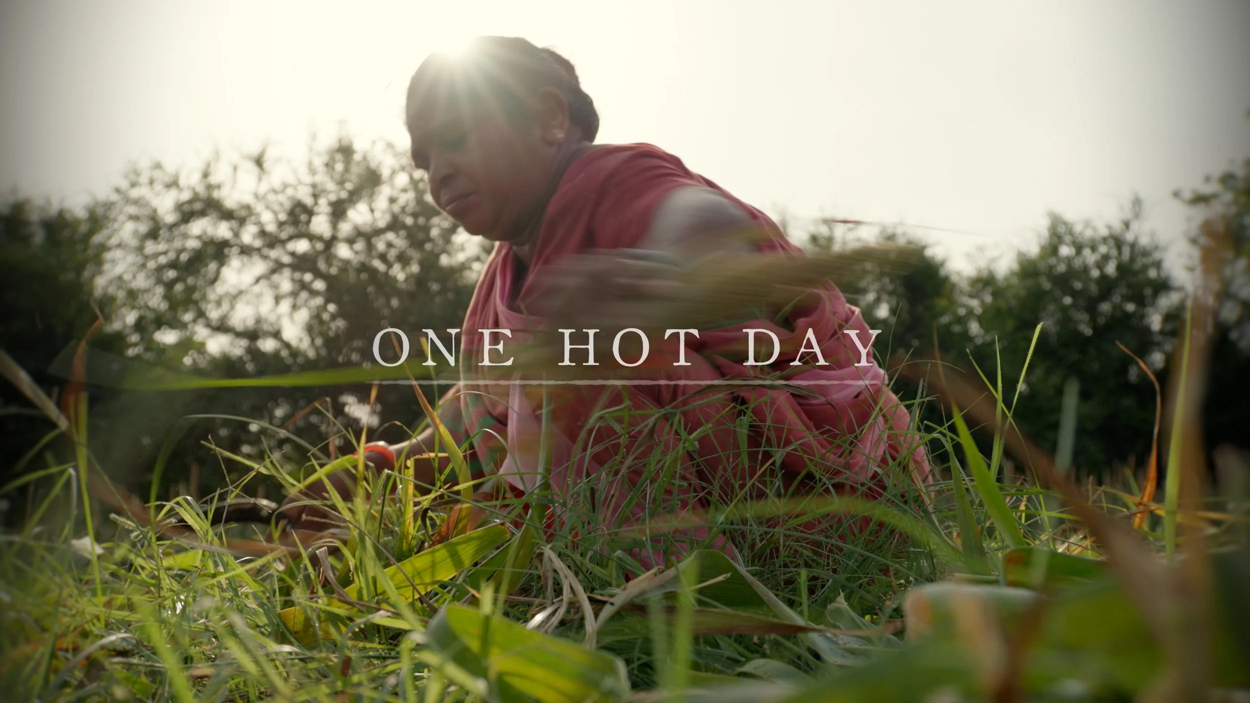 The human toll of extreme heat
