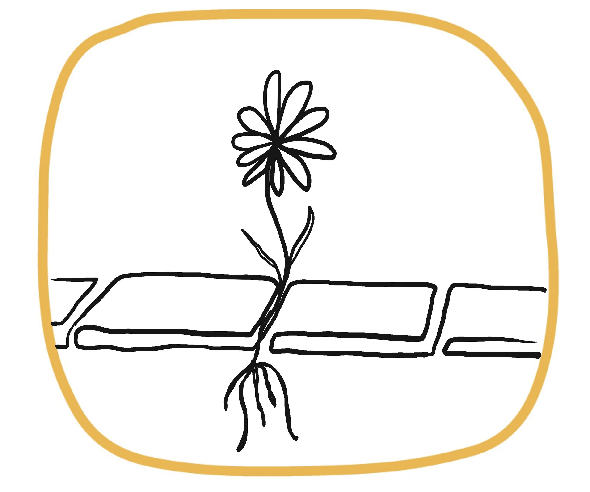 Hand drawn illustration of a flower growing between the cobblestones