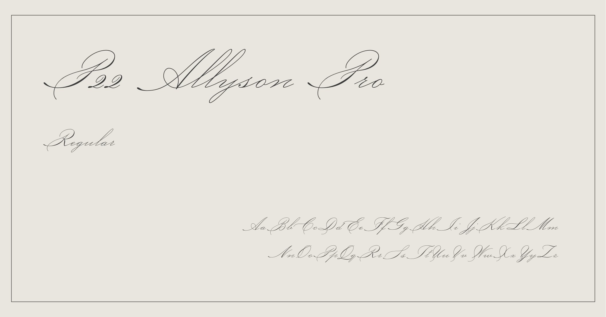 Interior Design Fonts - P22 Allyson Pro