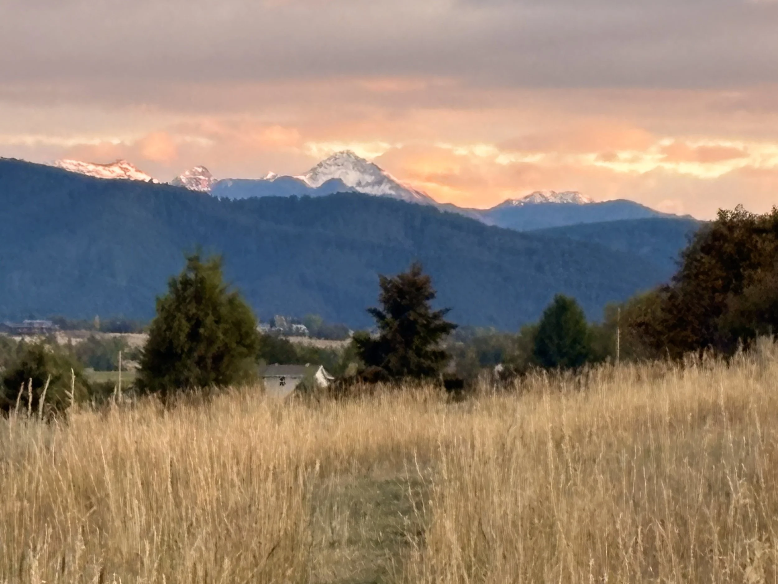 A scenic landscape with tall golden grass in the foreground, scattered trees, a few houses, a mountain range with snow-capped peaks in the background, and a sunset sky with soft orange and pink clouds.