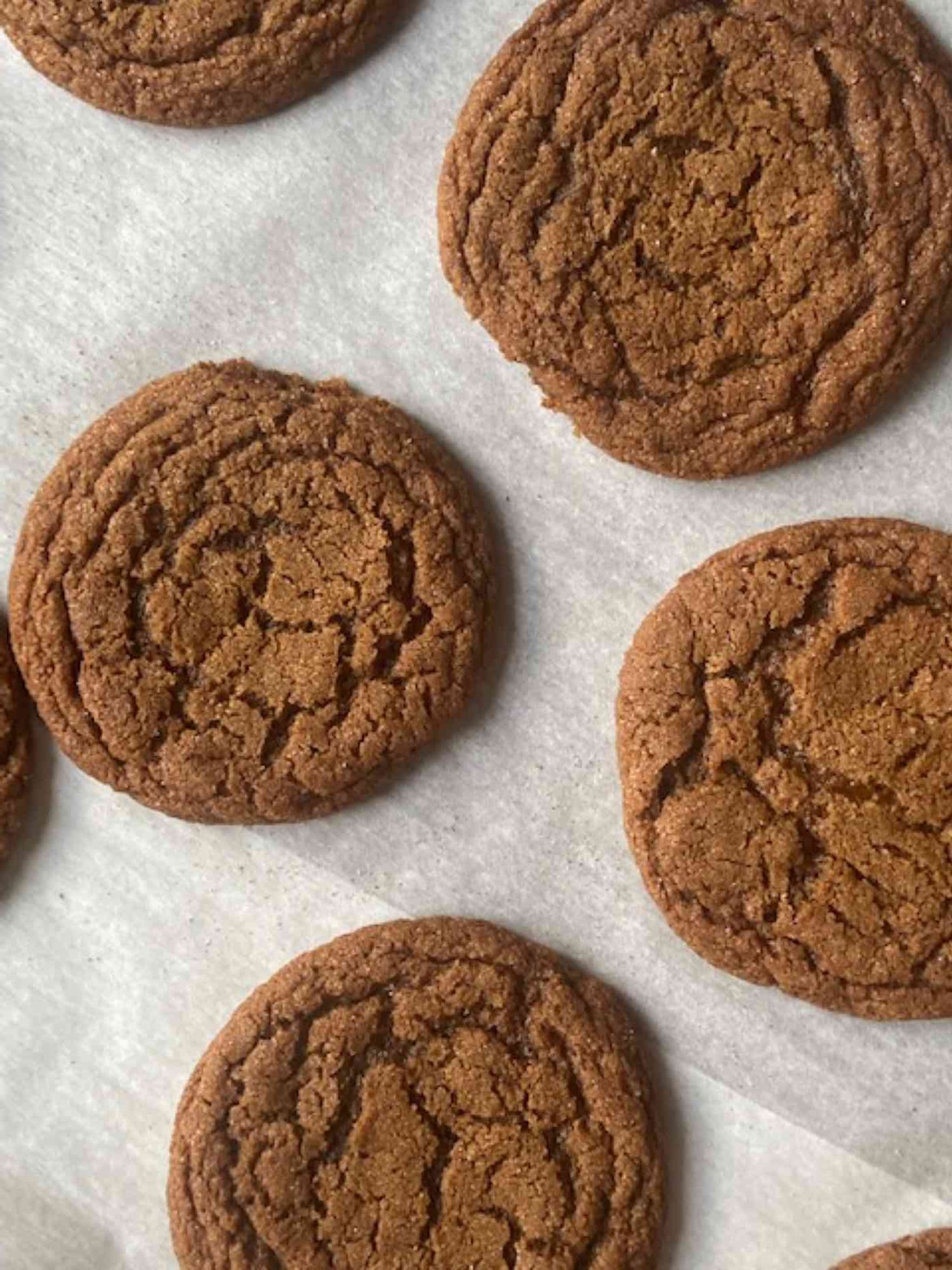 Gingerbread Latte Cookies 4.JPG
