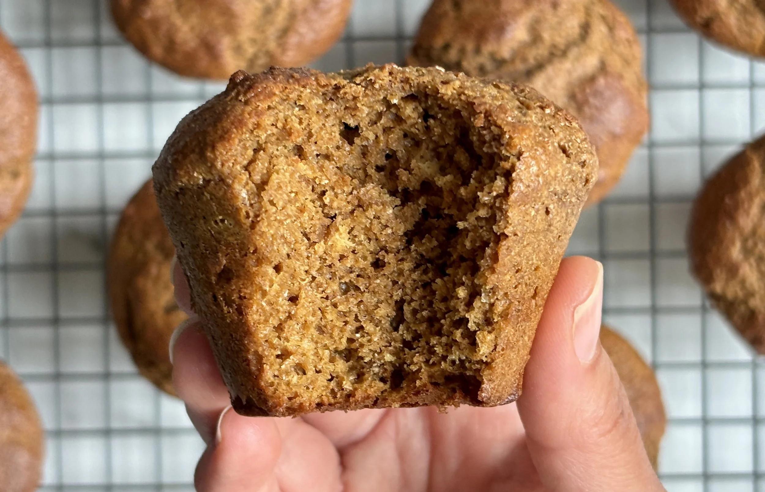 Protein Bran Muffins 2.jpeg