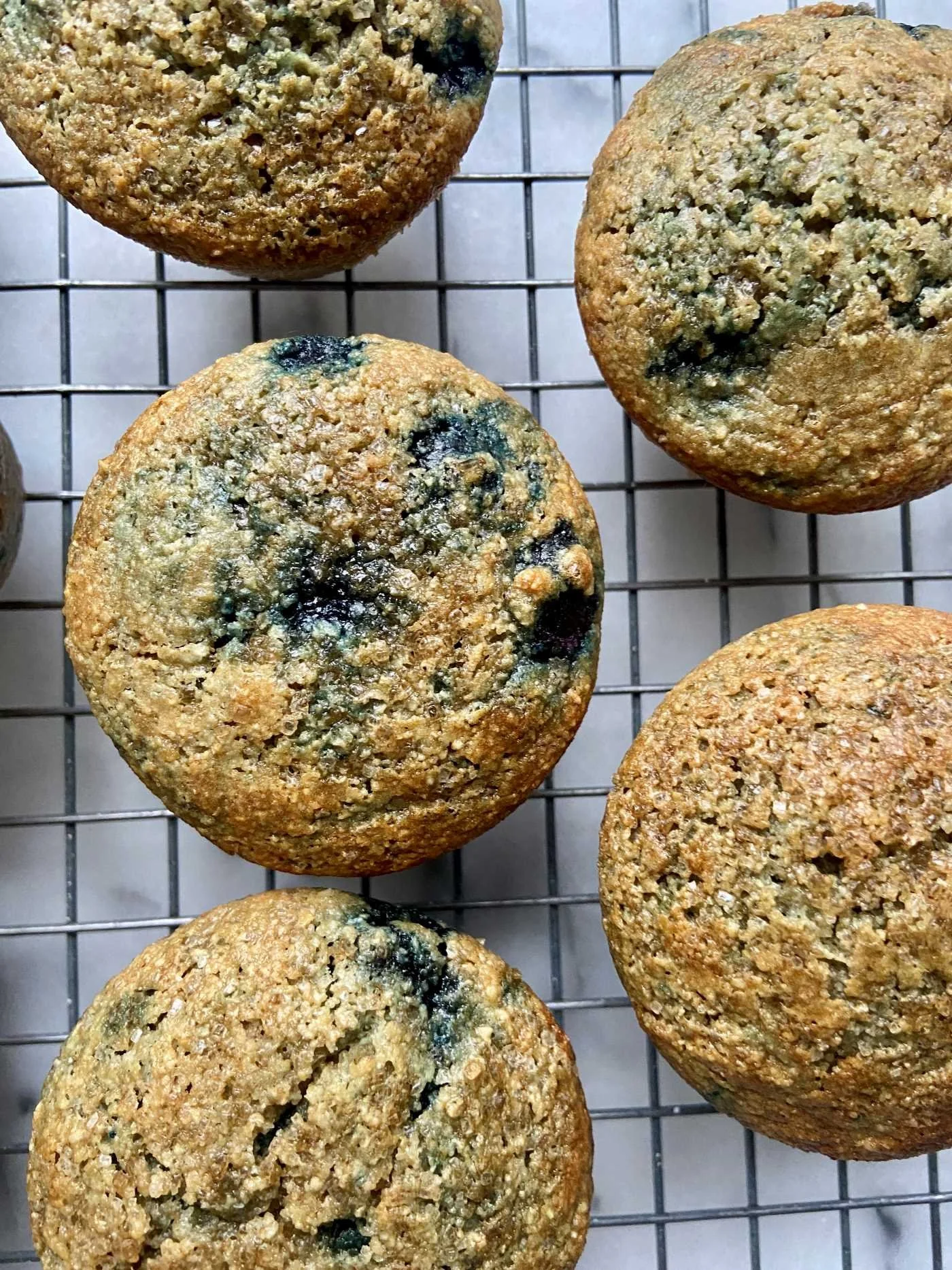 The BEST Healthy Blueberry Oat Muffins — SiLLibake