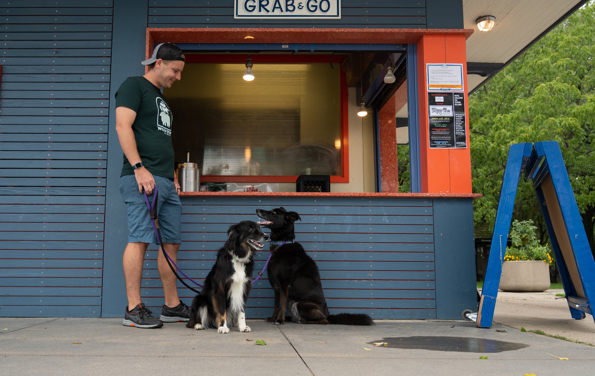The Painted Turtle at Nokomis