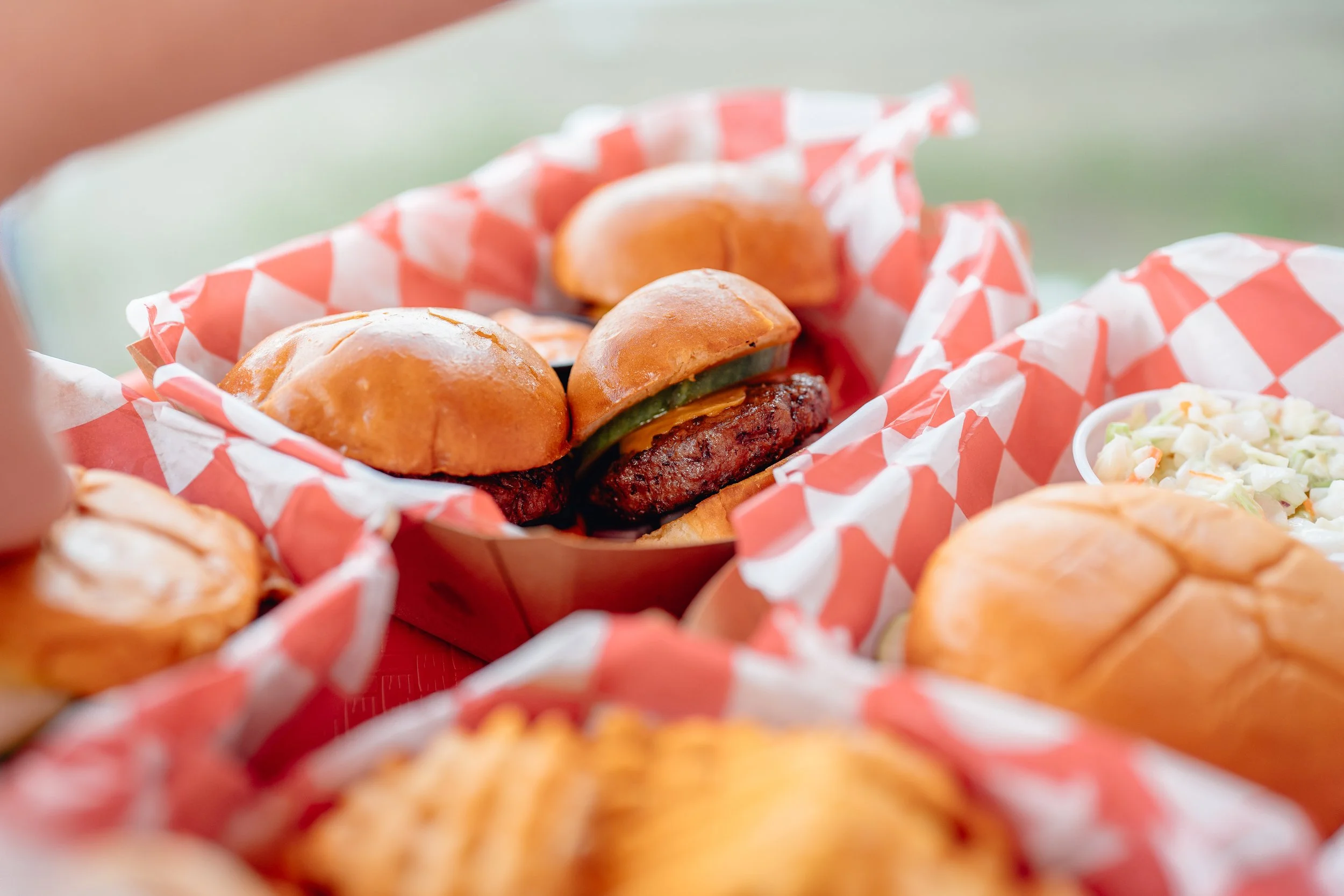 The Painted Turtle at Nokomis