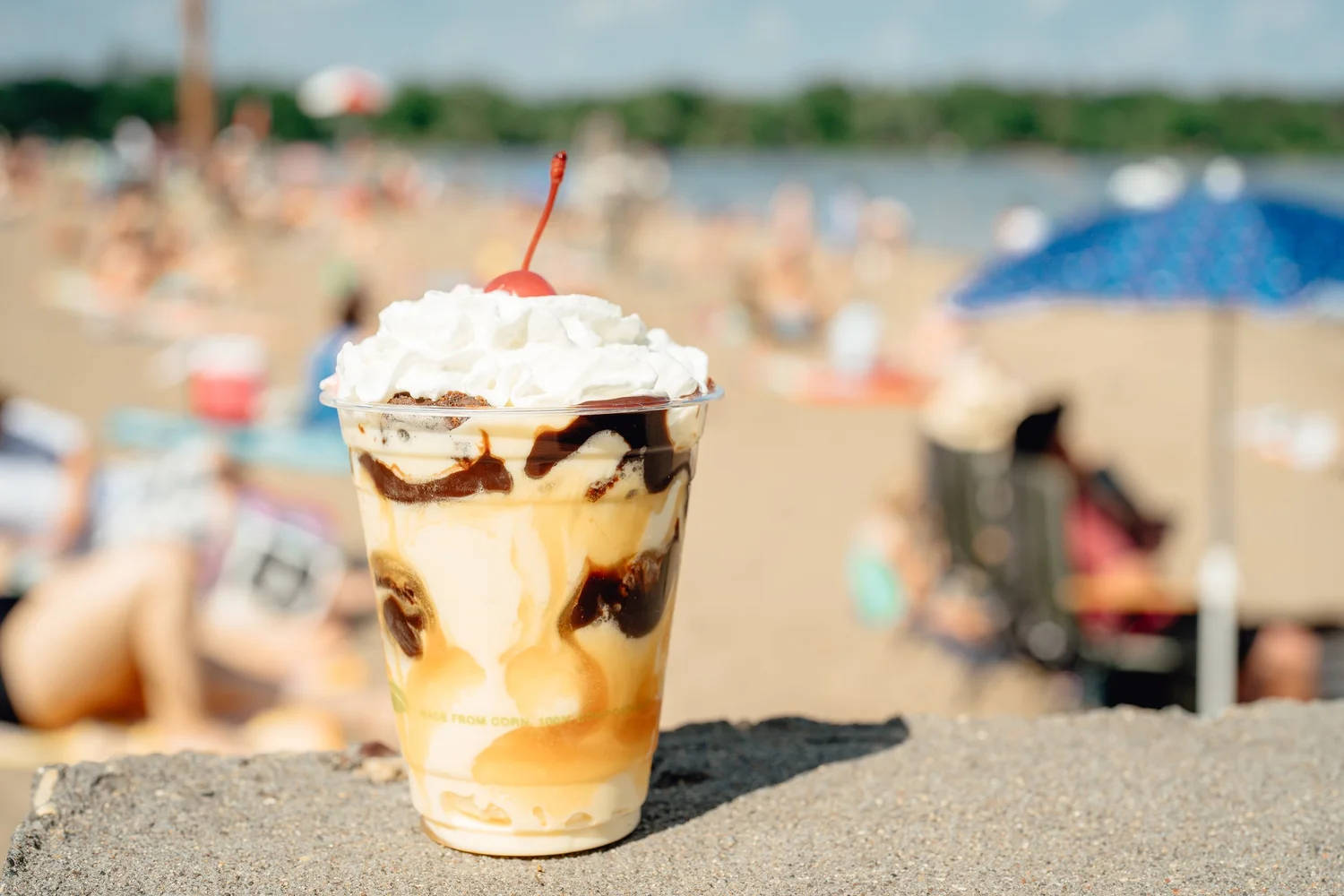 The Painted Turtle at Nokomis