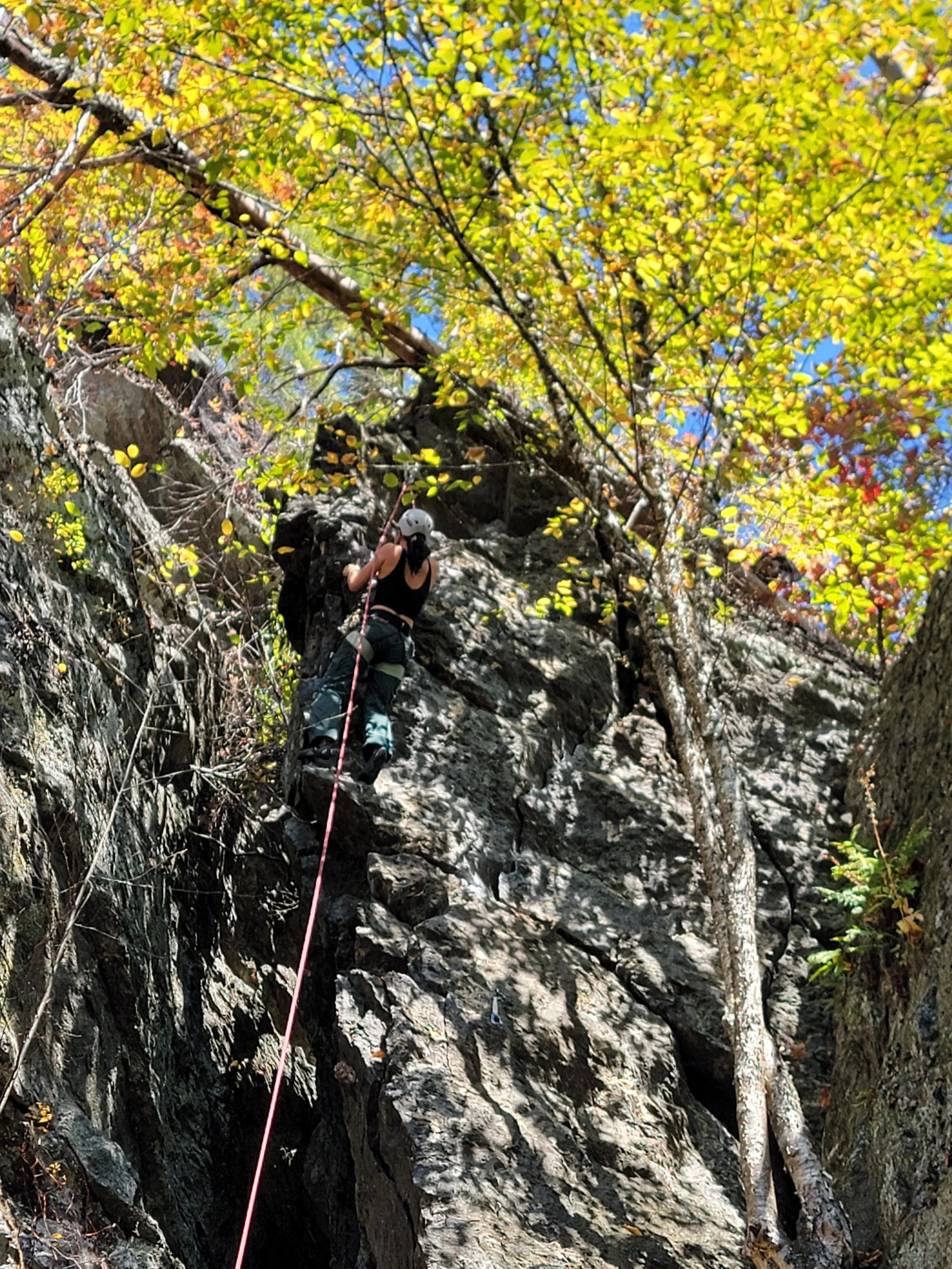 Person climbing a rock face with safety gear, surrounded by colorful autumn trees and blue sky.