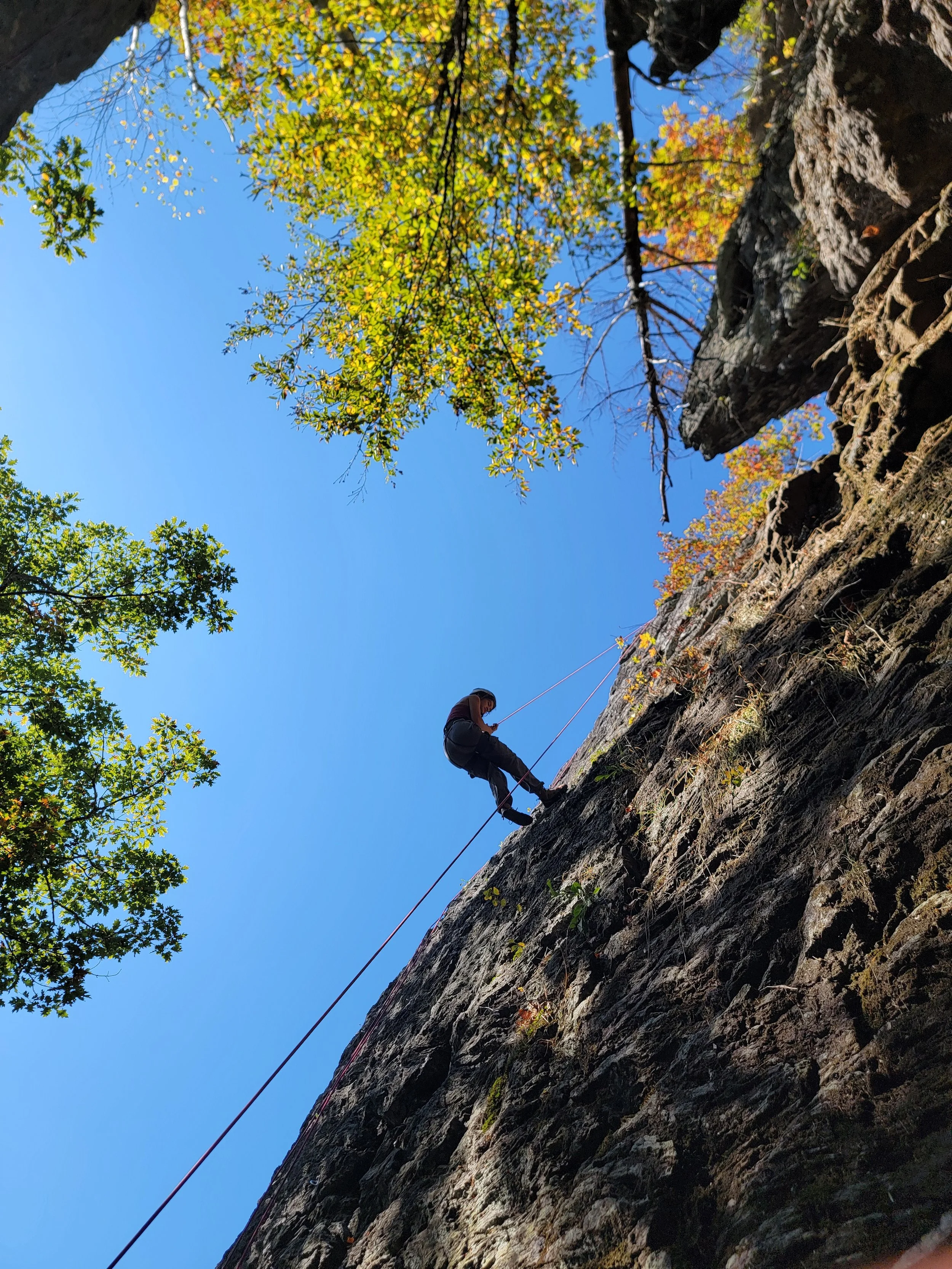 A person rock climbing on a steep cliff with trees and a bright blue sky in the background.