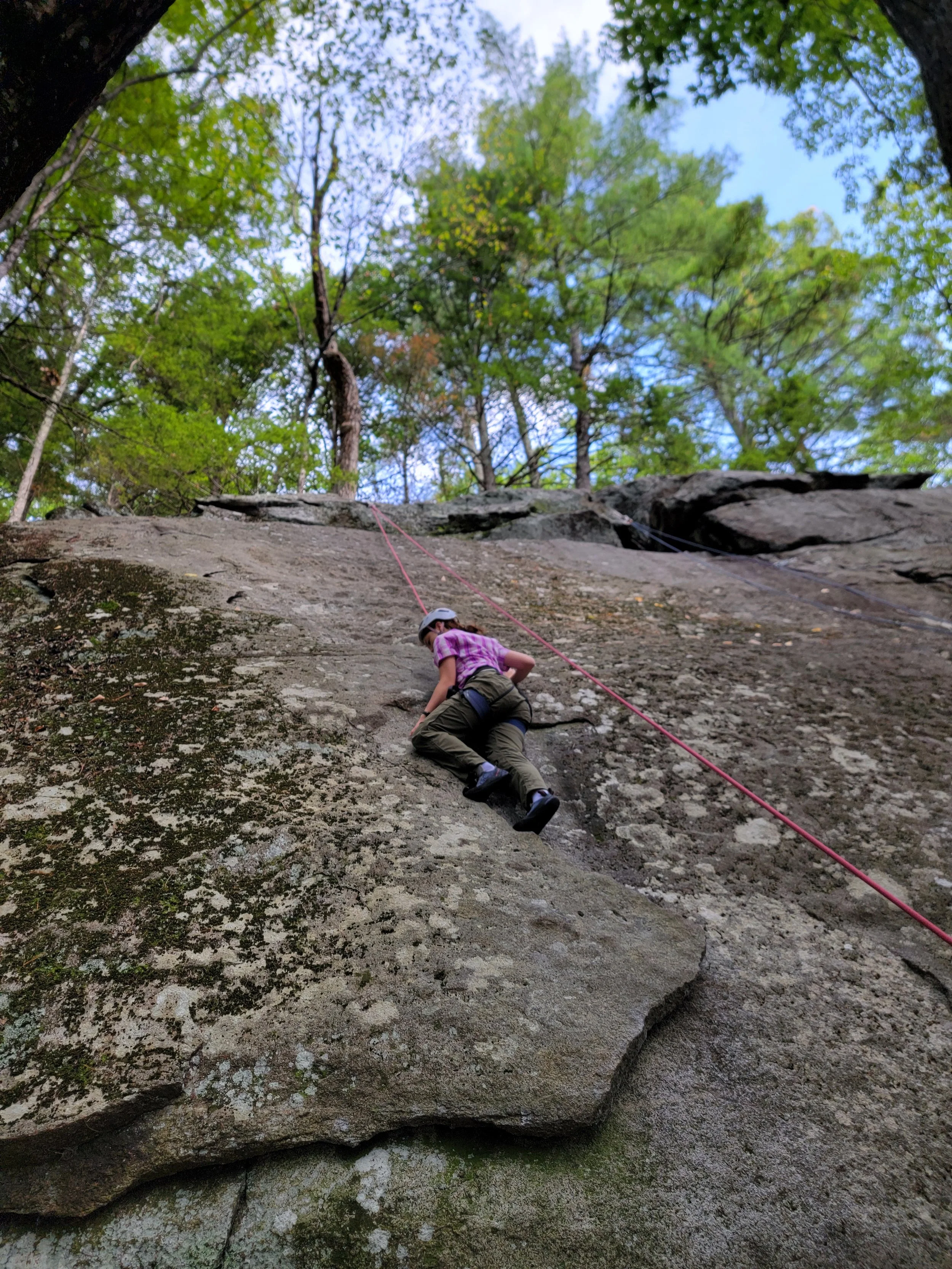 Person in purple shirt and helmet rock climbing on a large outdoor rock face surrounded by green trees and a blue sky.