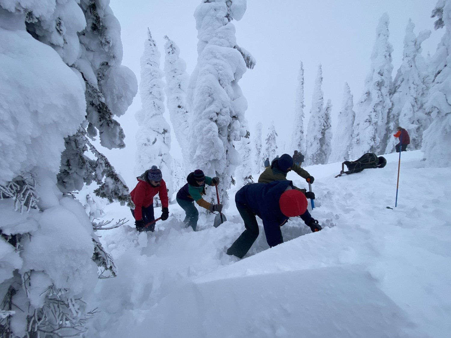 Level II Avalanche Course Details — The Patrol Fund