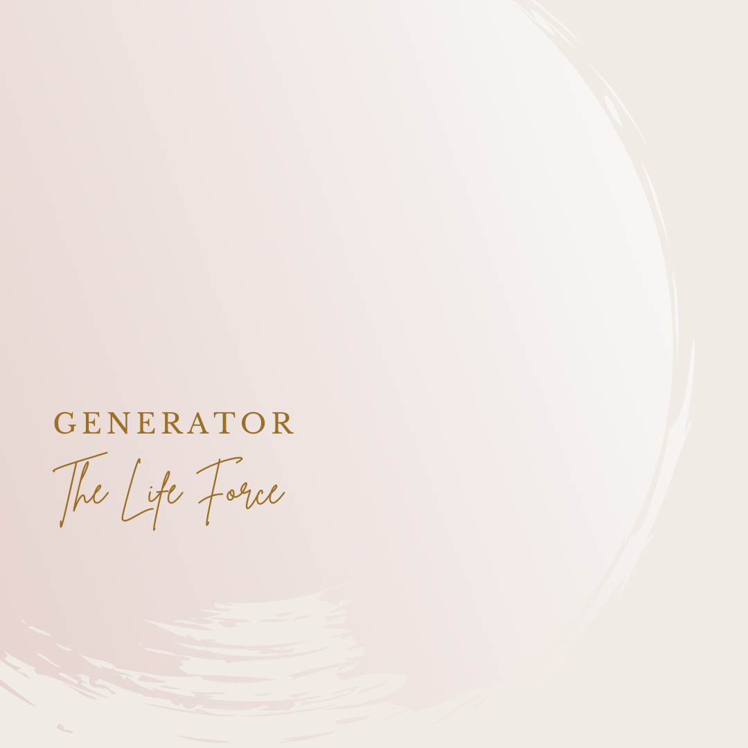 Energy Type - Generator