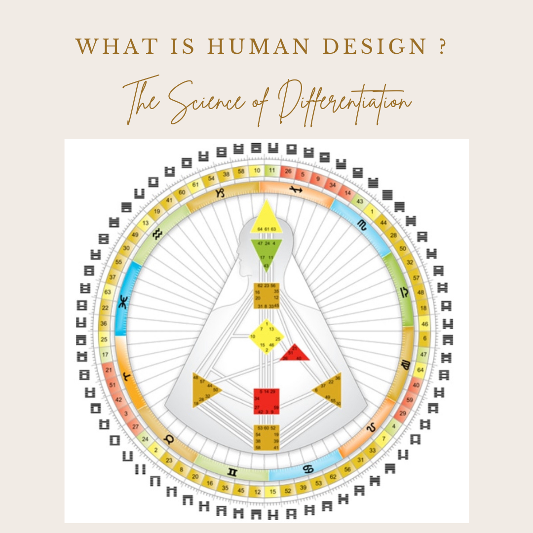 What is Human Design?