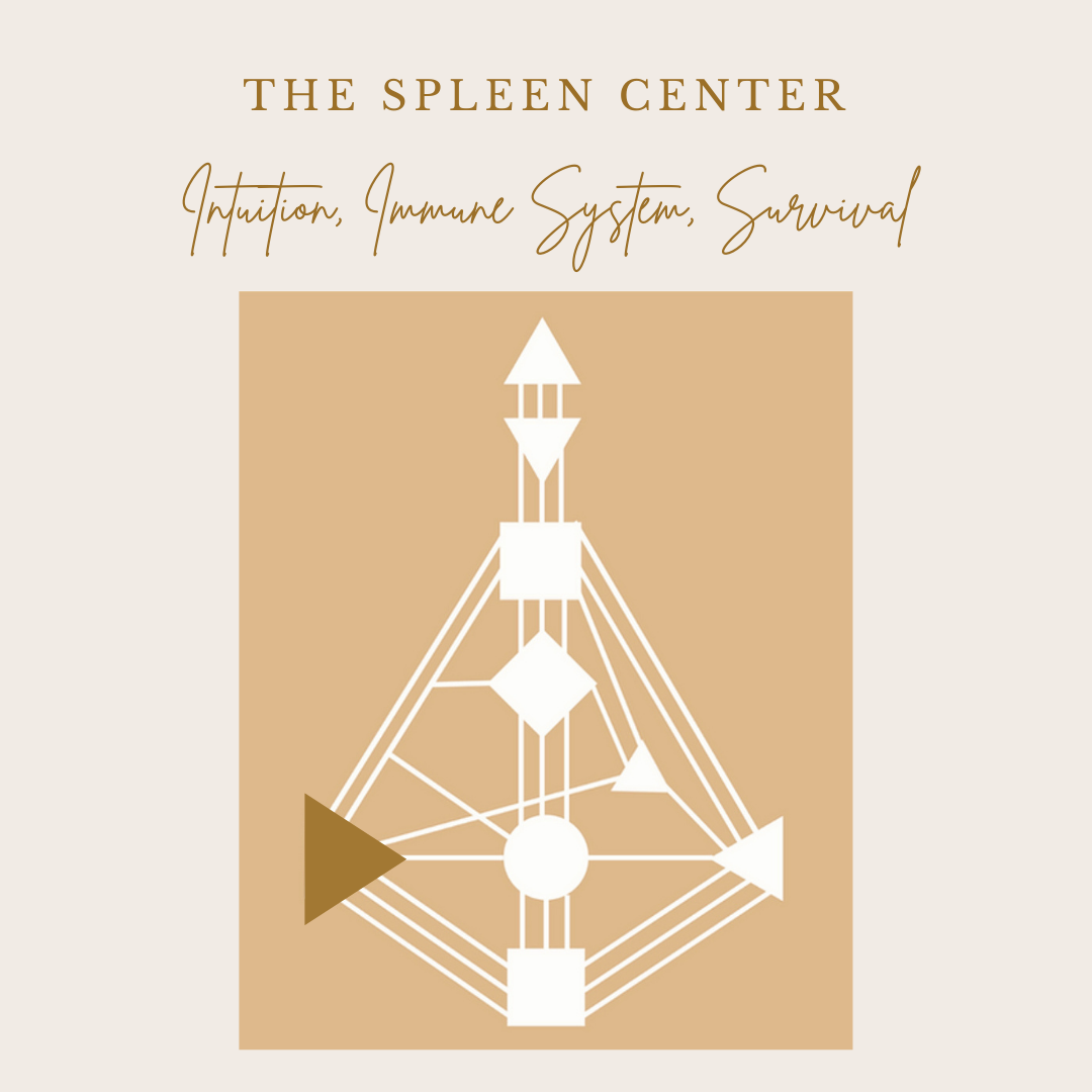 Spleen Center - Intuition, Immune system, survival