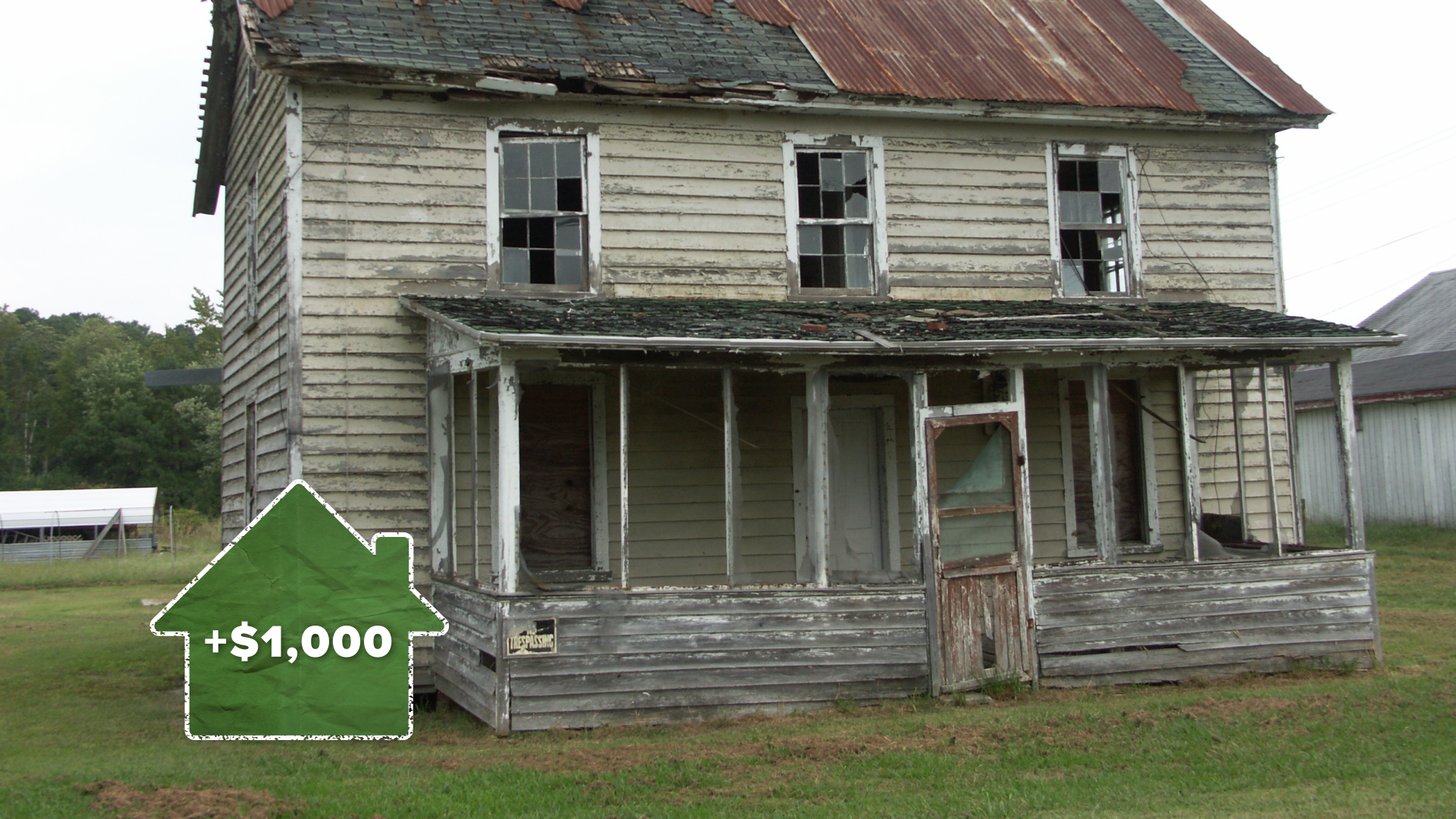 IBAD_House_Bank_Green (00049).png