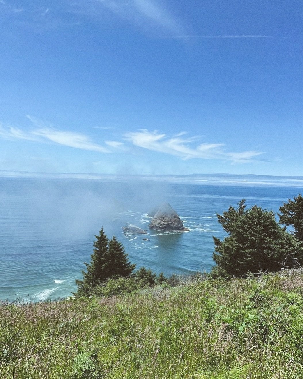 Oceanside has such beautiful viewpoints nearby.  Whether you&rsquo;re at the Cape Meares lighthouse, or hiking one of the many trails around us, or finding the perfect grassy knoll in a neighborhood, you&rsquo;ll be sure to find vast ocean views, wit