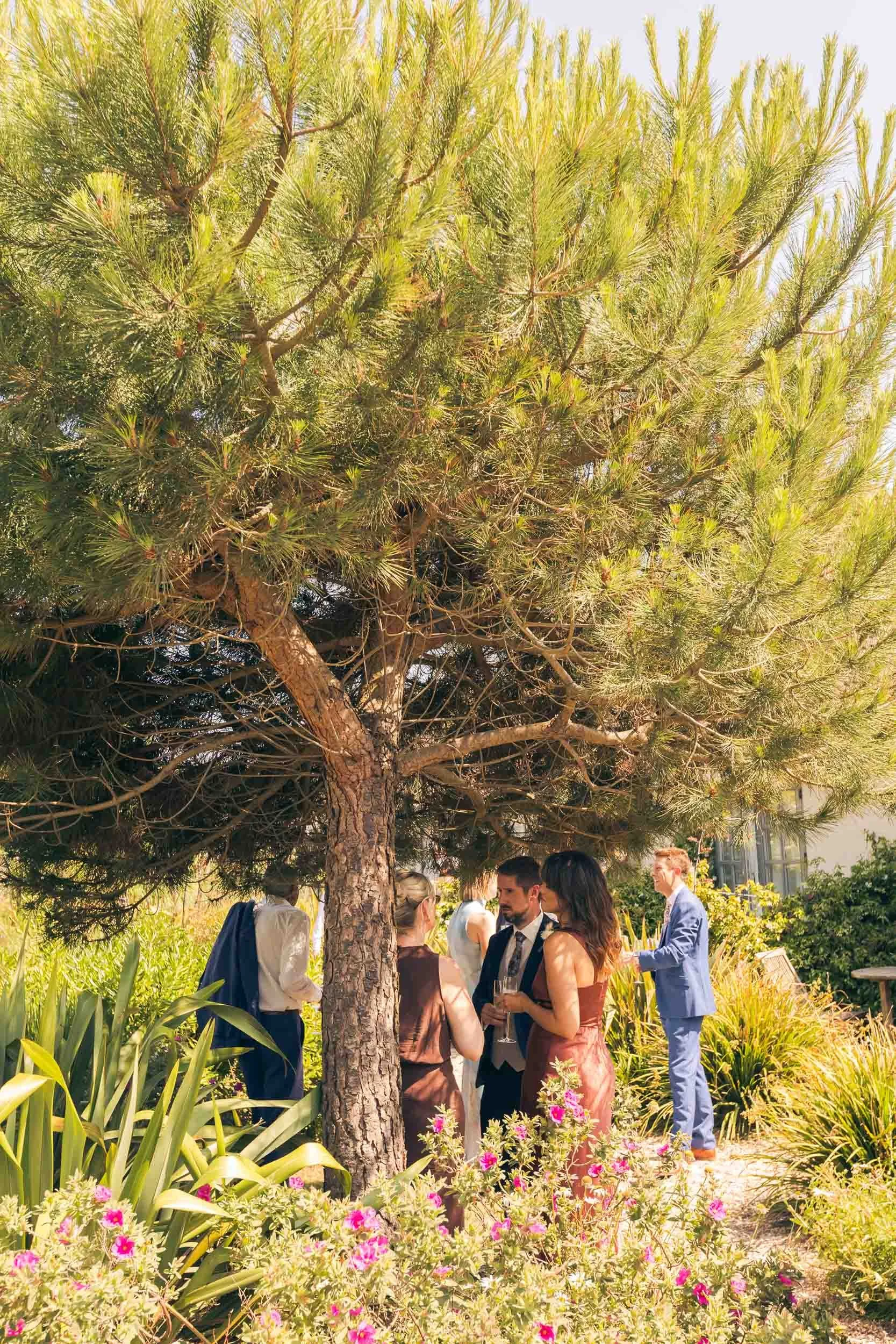 Group of people in formal attire gathered outdoors under a large tree, at a garden party or wedding reception, with surrounding greenery and colorful flowers.