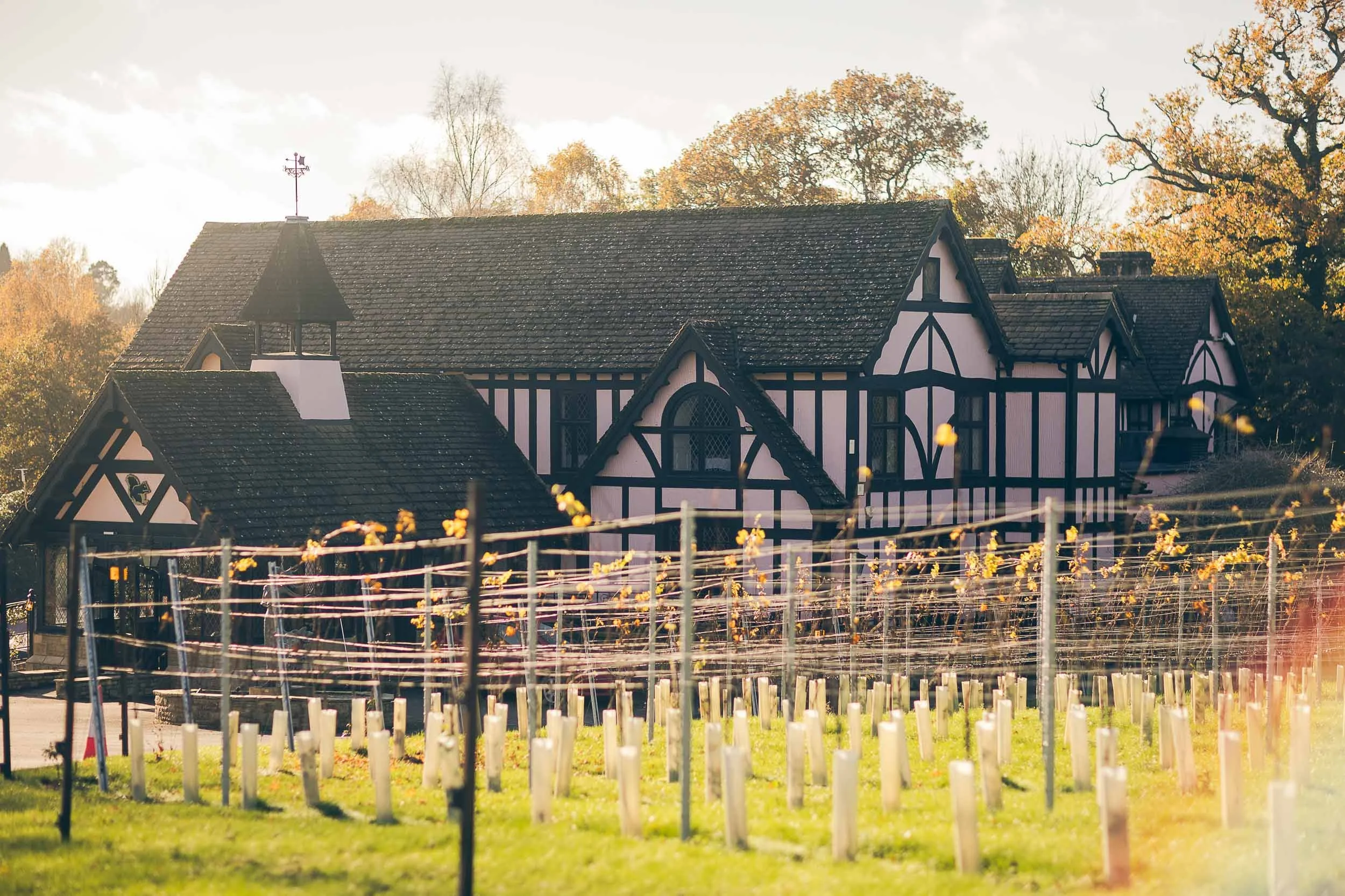 A large house with a Tudor-style design, featuring black and white exterior walls, multiple gabled roofs, and a small tower with a weather vane on top. In the foreground, there is a vineyard with rows of grapevines supported by trellises, and a grass