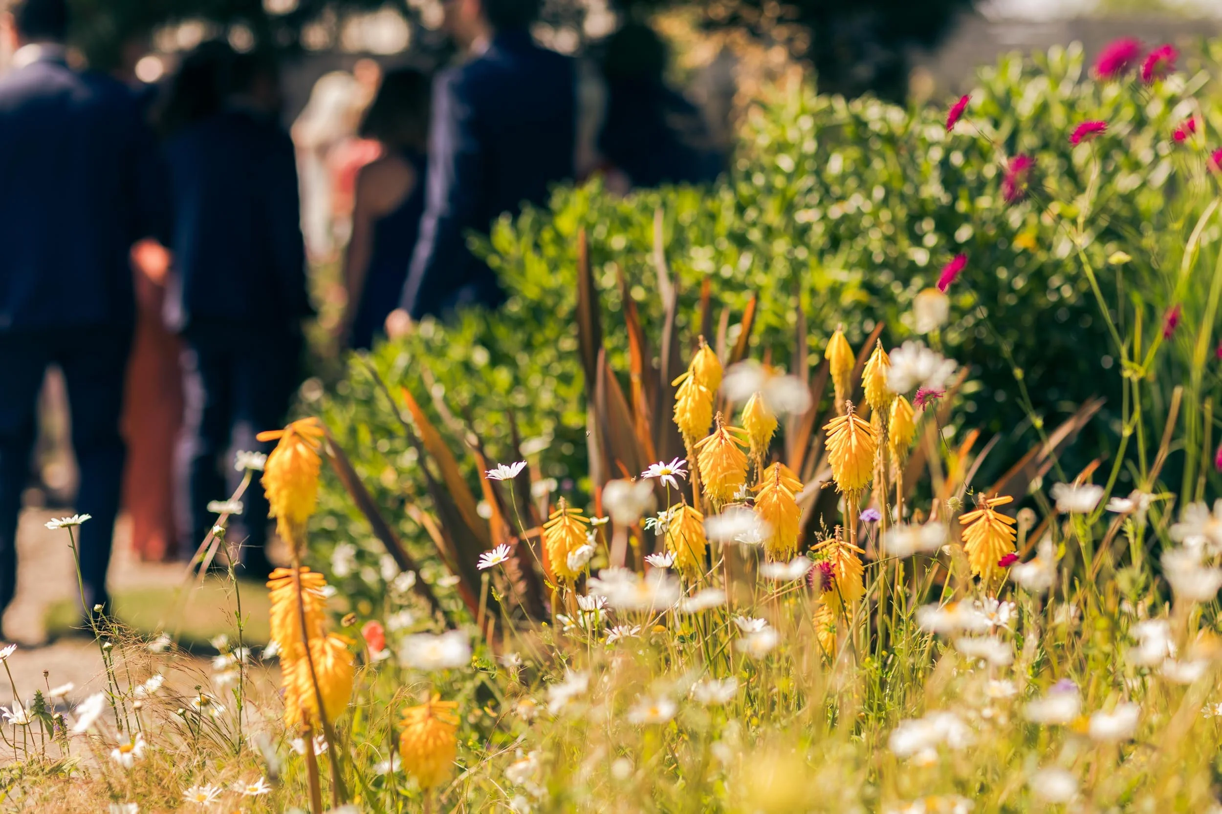 People walking in a garden with colorful flowers.