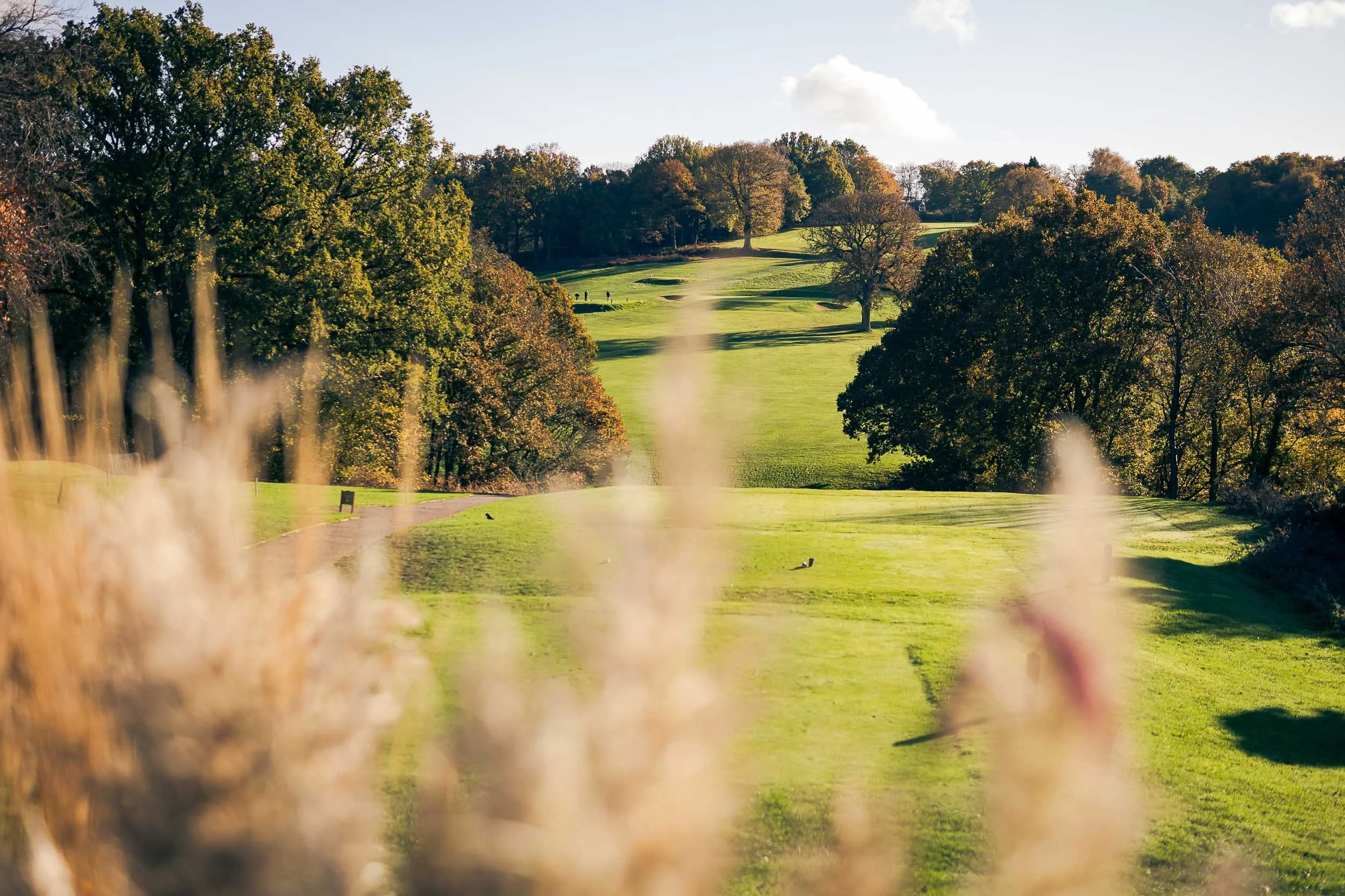 A scenic view of a golf course with lush green fairways and trees during autumn, with some fall foliage and a pathway on the left side.