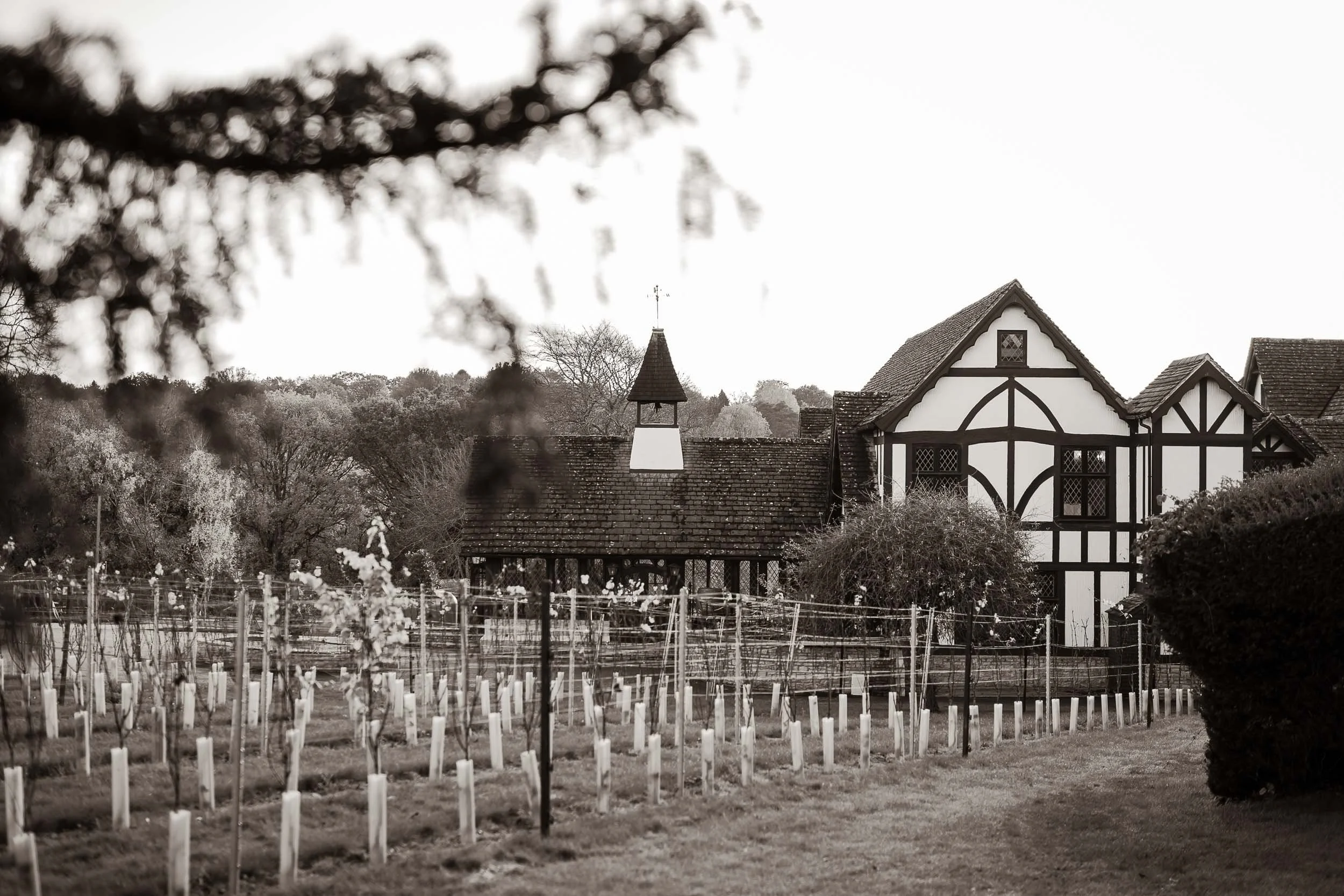 A black-and-white photo of a traditional Tudor-style house with a steep roof and decorative timber framing. In the foreground, there is a garden with neatly arranged rows of young plants supported by stakes, and a path running alongside. The scene is