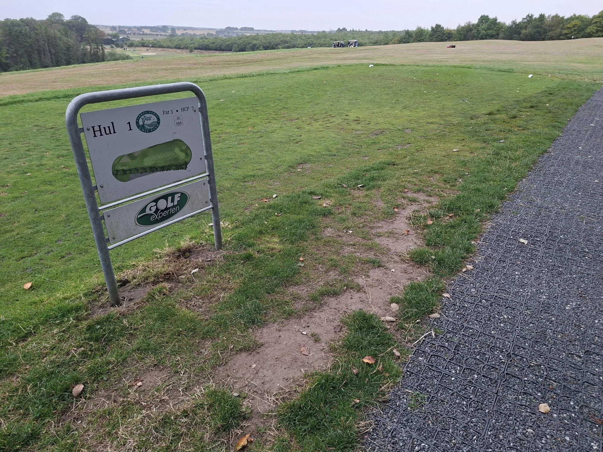 8655.jpg