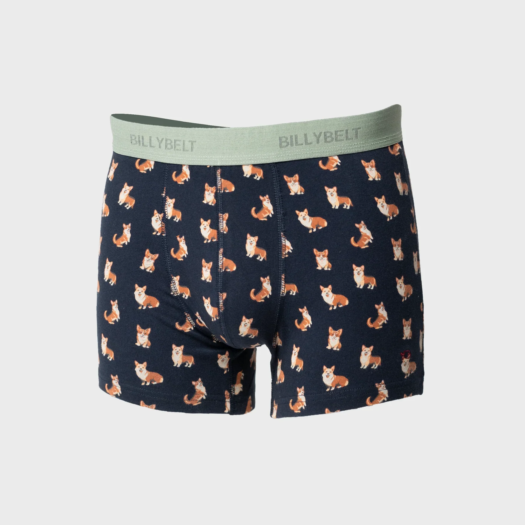 ADM Store, Surprise Malo, Boxer Corgi.webp