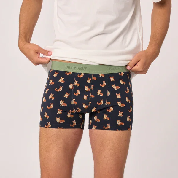 ADM Store, Surprise Malo, Boxer Corgi 3.webp