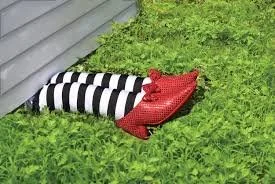 Ding Dong, the Witch Is Dead