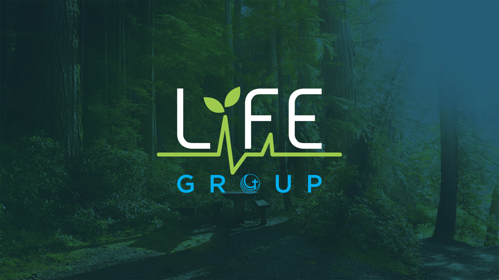 Bible Study LifeGroup