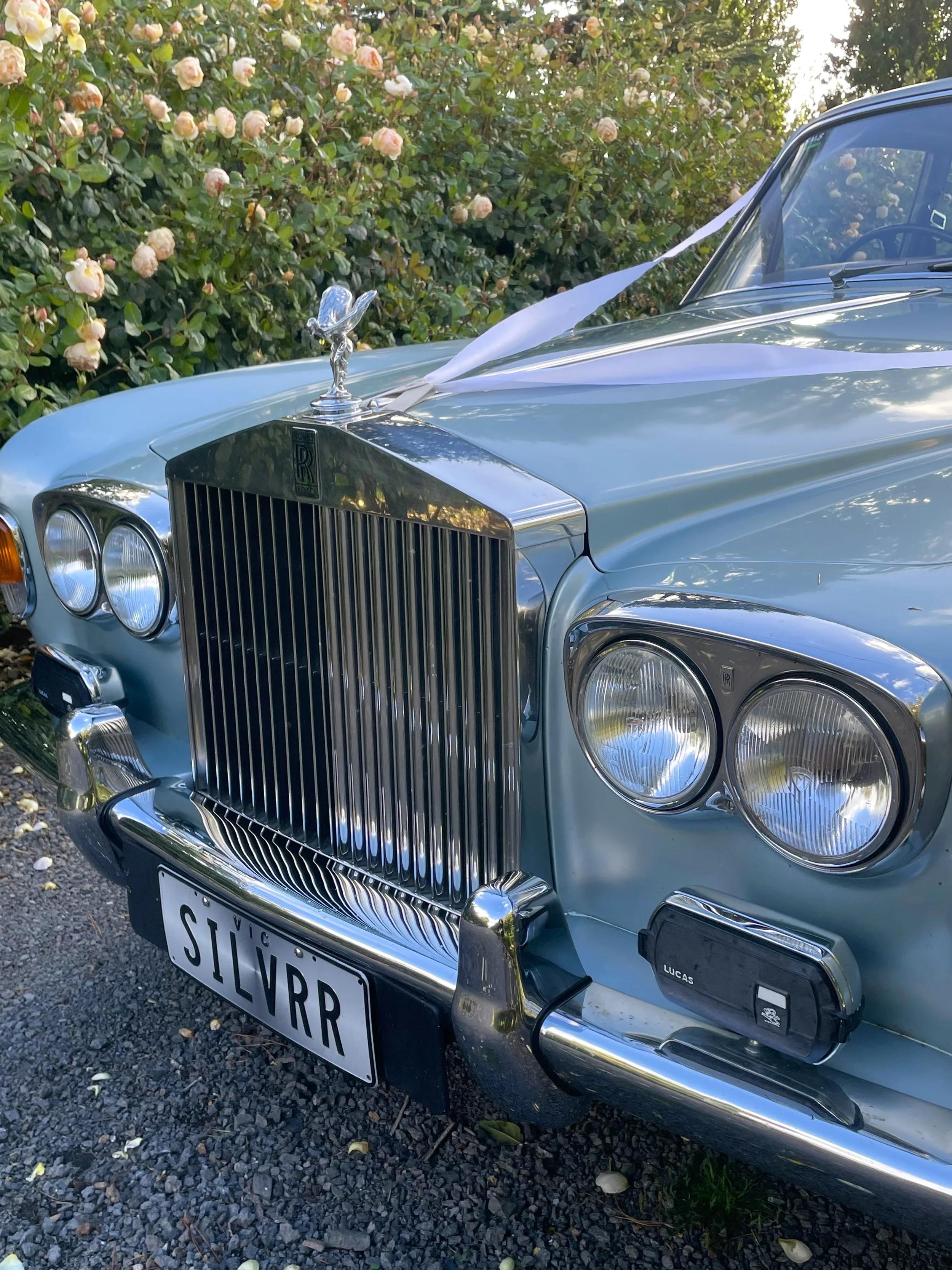 1974 Silver Shadow Rolls Royce- silver-blue wedding ribbon on bonnet at Scrub Hill near Ballarat VIC