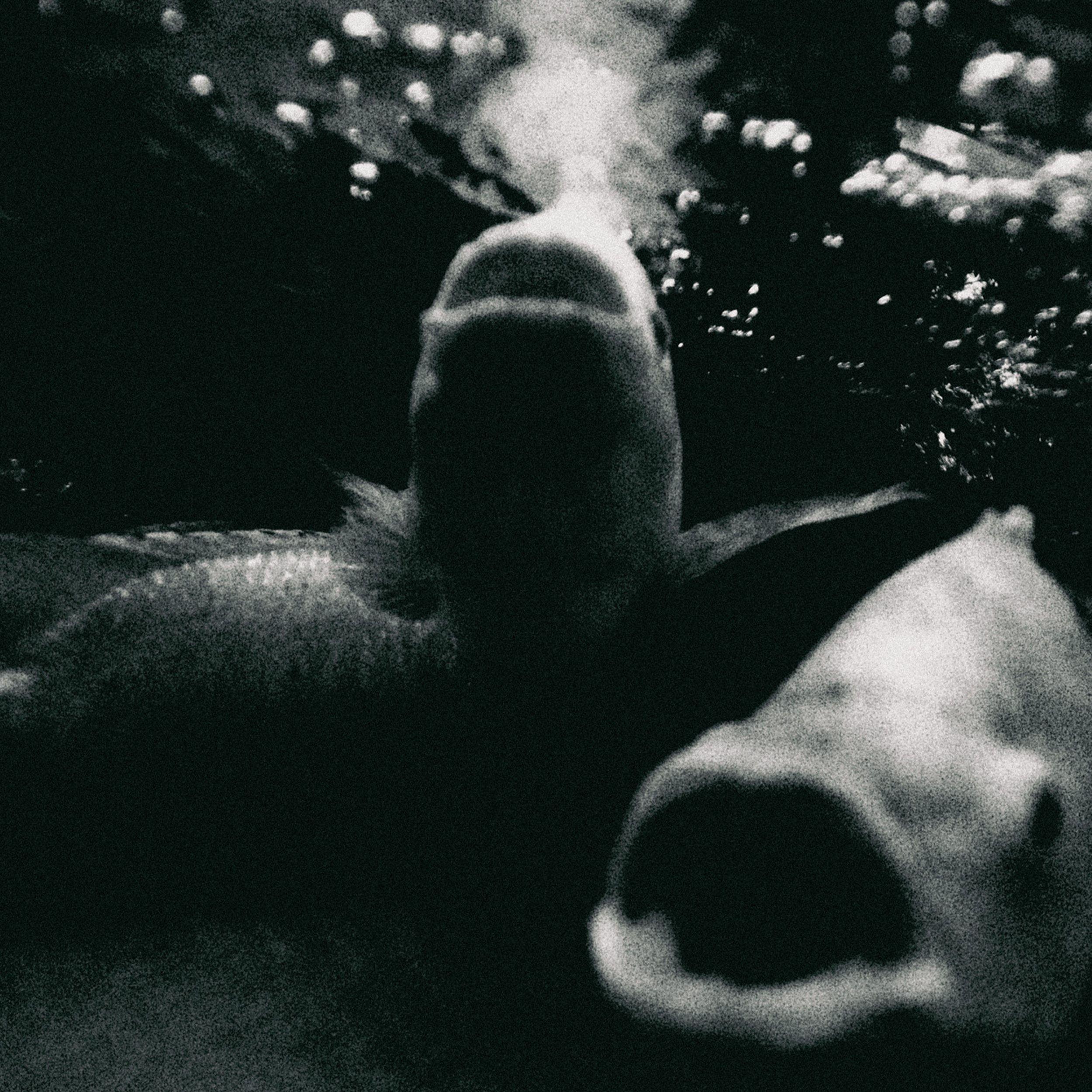 Eora/Sydney’s Airline releases ‘Koi’ EP after releasing singles ‘Total Collapse’ + EP release show at OAF in Sydney this Thursday