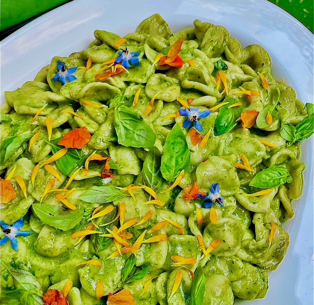 Egg Pasta & Spring Sauces