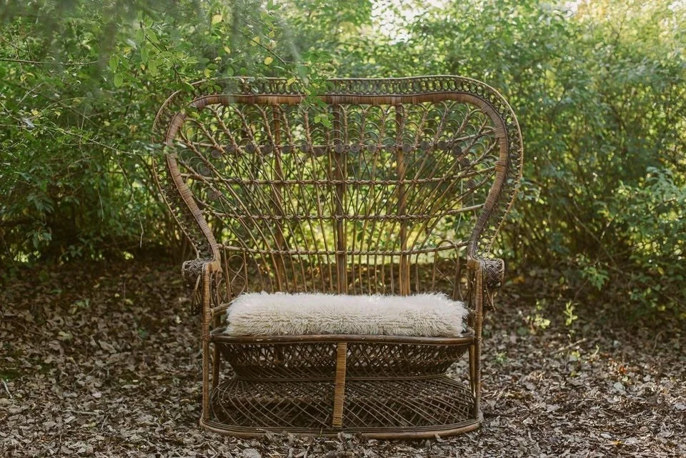 Wicker chair with cushion in garden, surrounded by greenery.