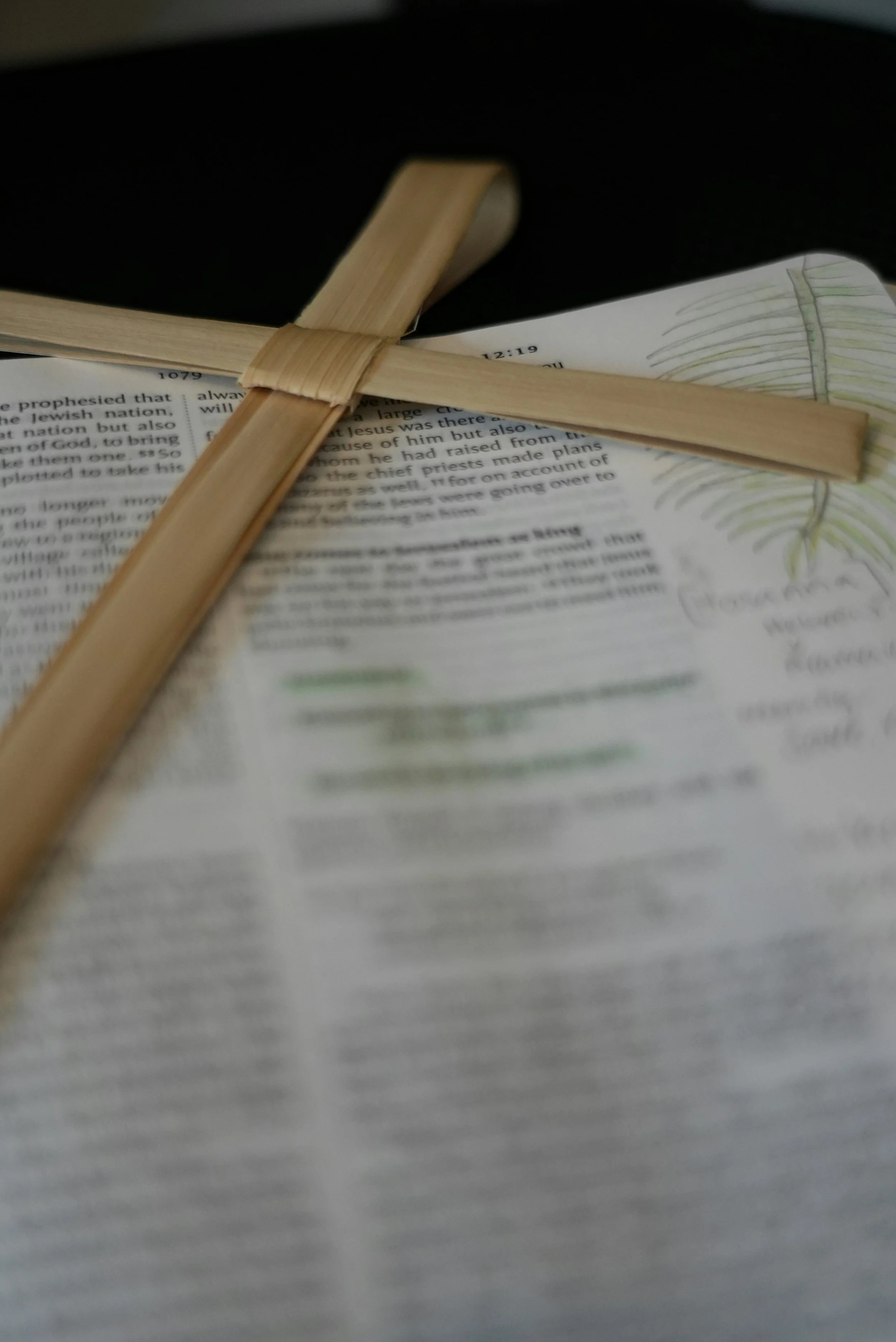 PALM SUNDAY Worship Service 
