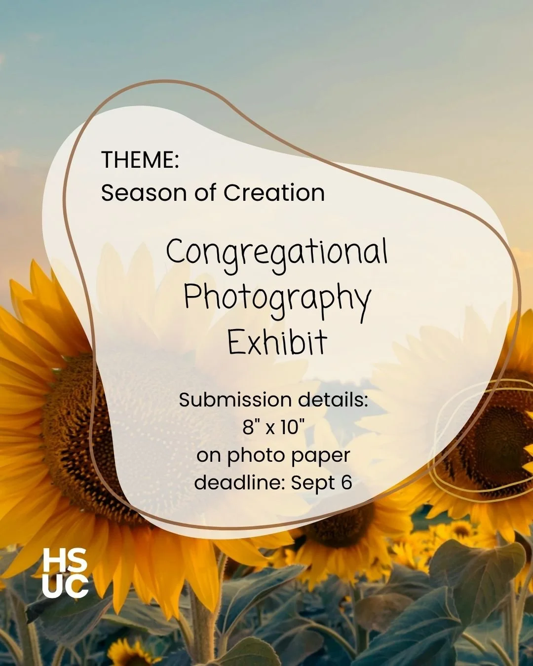 It's sunflower season. So many beautiful things to see in the summer. What do you see? Take a photo and submit it to the church office for our Creation themed congregational photography exhibit.

#sunflowers #creation #photography