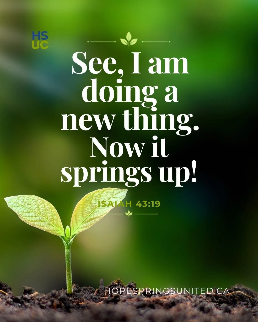 #themeverse