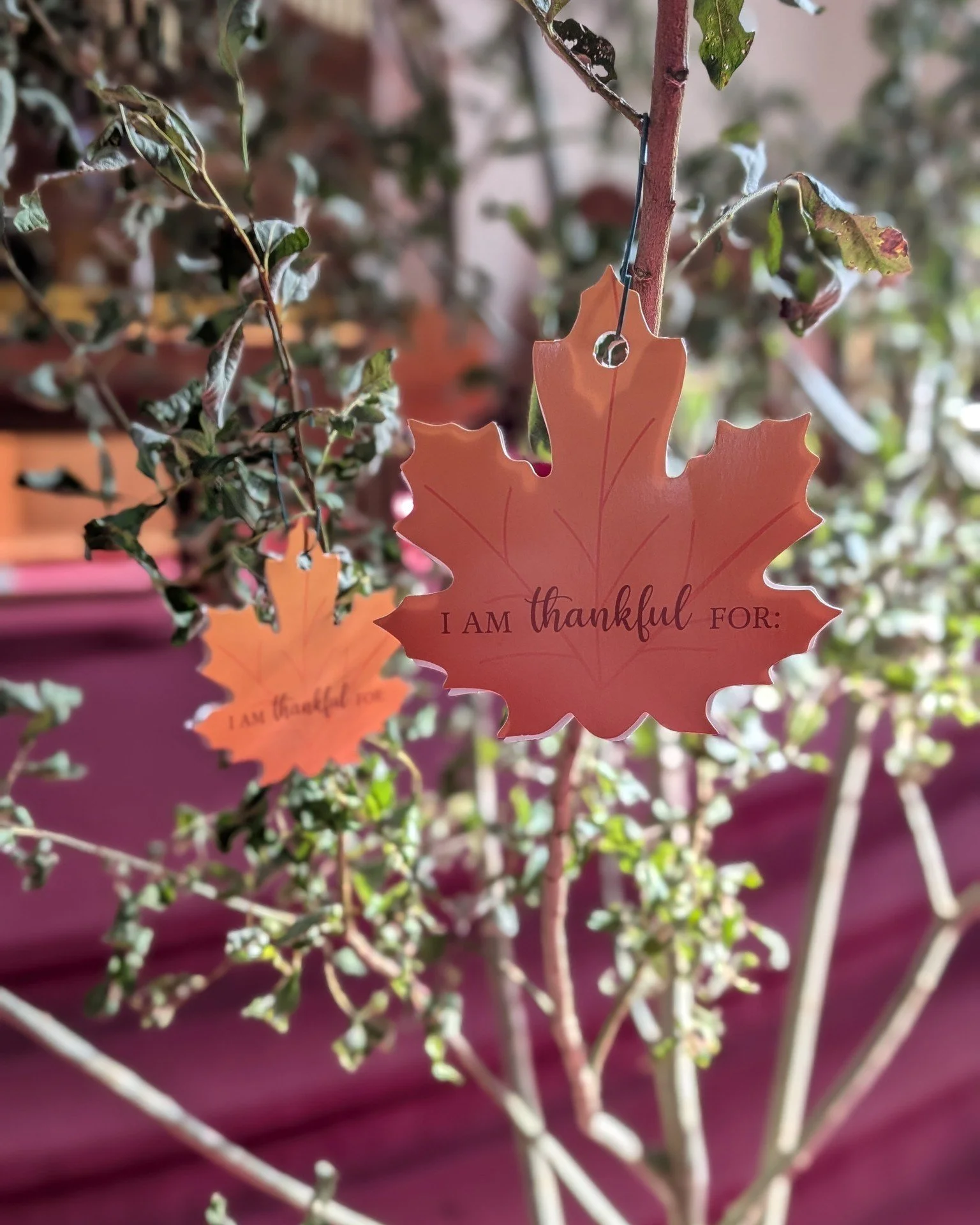 This Thanksgiving, join us for a time of worship, gratitude, creativity and community in our All Ages Worship: a time to praise God not just with our words, but our whole selves. All are welcome in this space. 

Sunday Worship 10:30 am 
Onsite at 75 