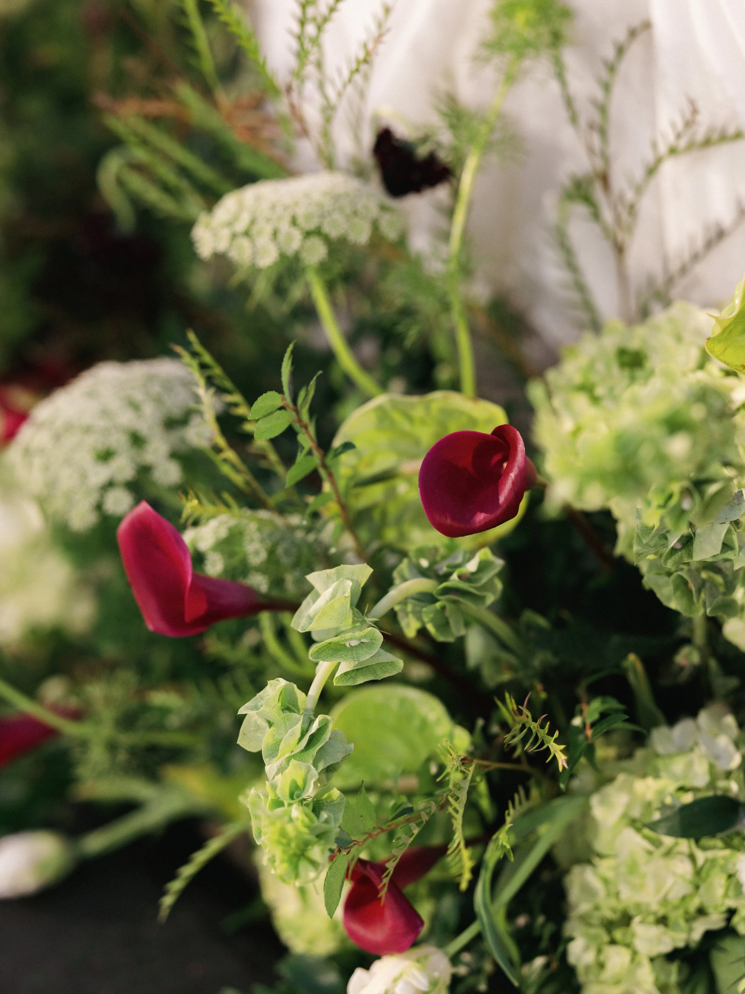 Lorena and Cindy_00565.jpg